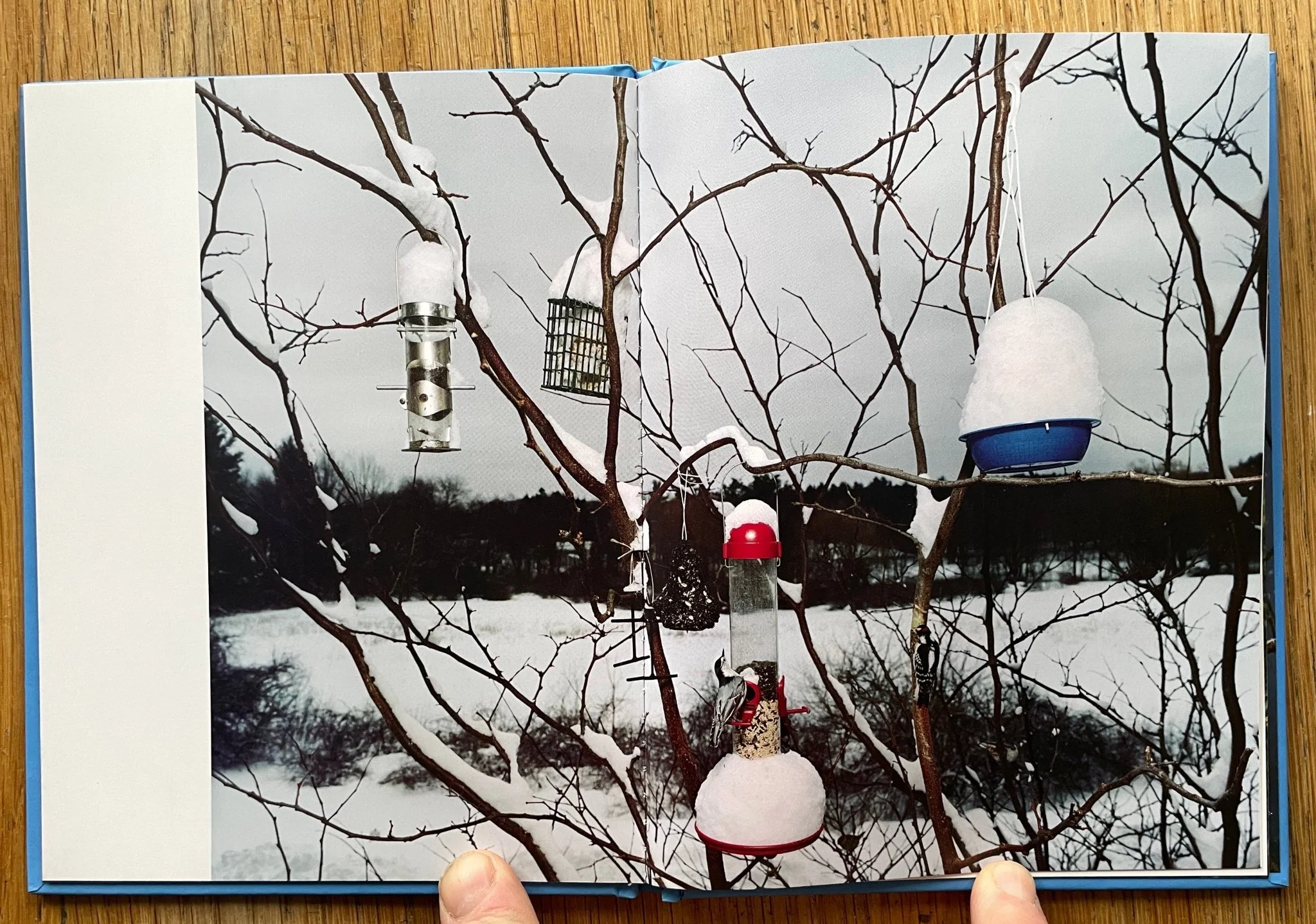 Sustenance (One Picture Book) - Image 4