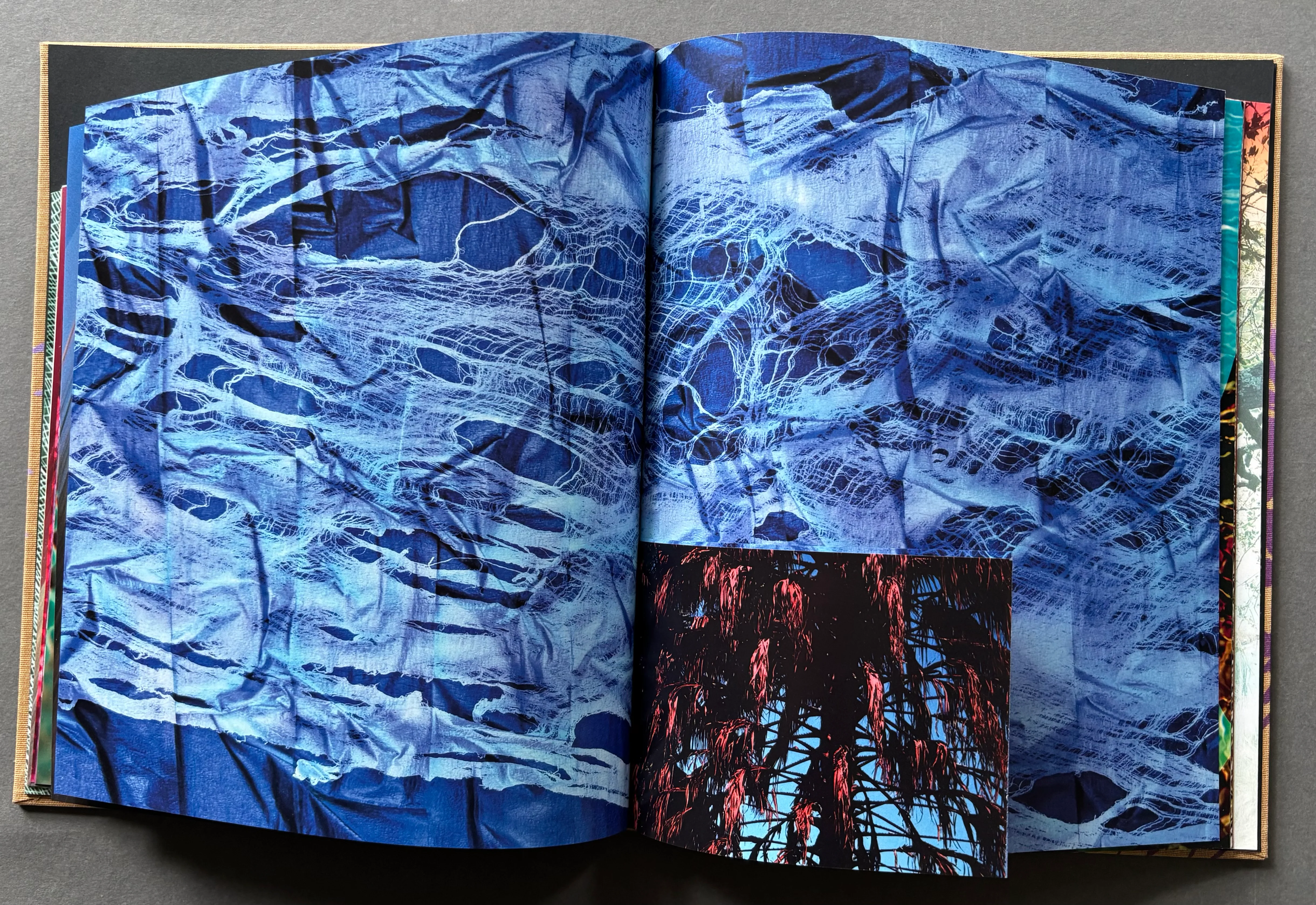 Swamp - Image 6