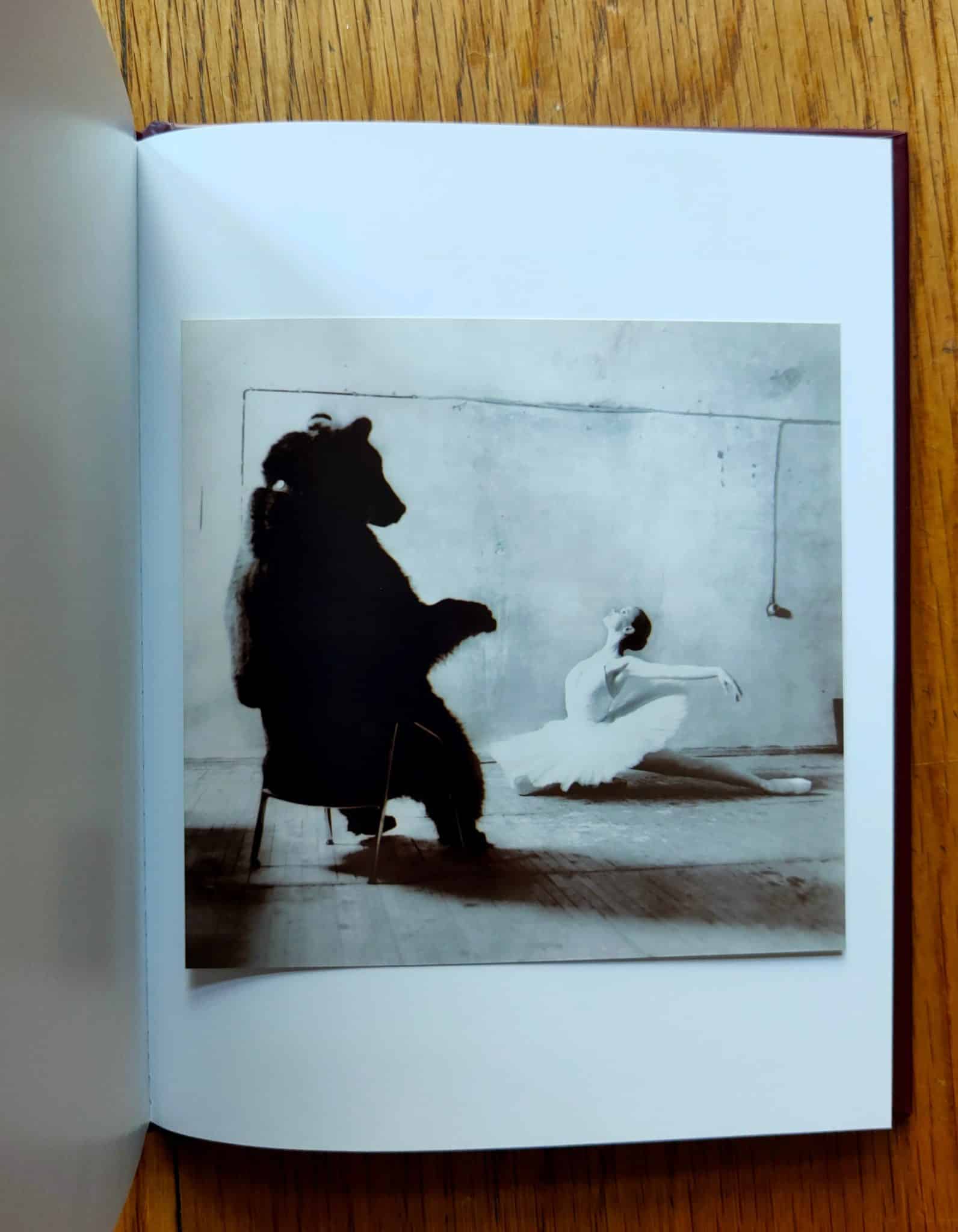 Taste for Russian Ballet (One Picture Book) - Image 3