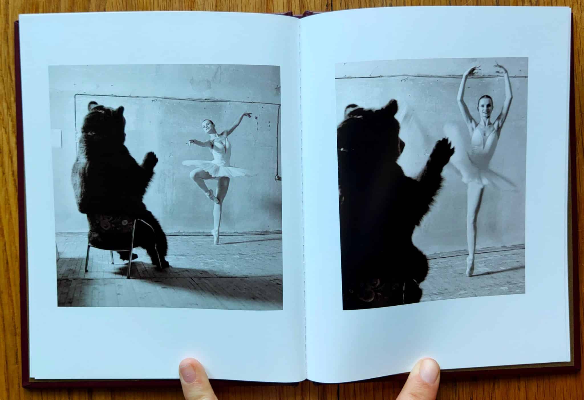 Taste for Russian Ballet (One Picture Book) - Image 6