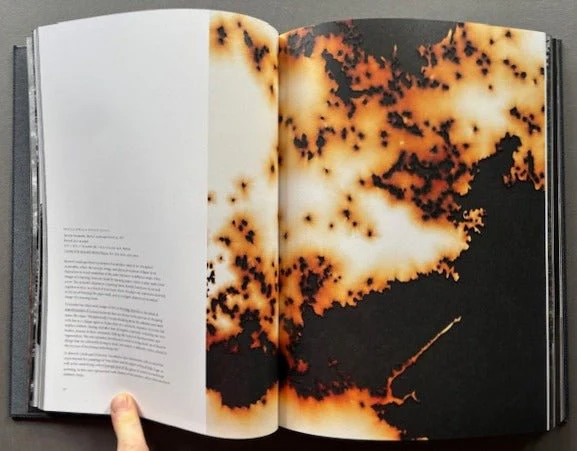 Teresita Fernandez / Robert Smithson - Image 2