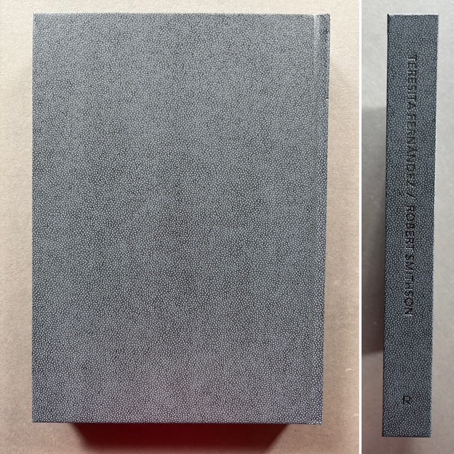 Teresita Fernandez / Robert Smithson - Image 5