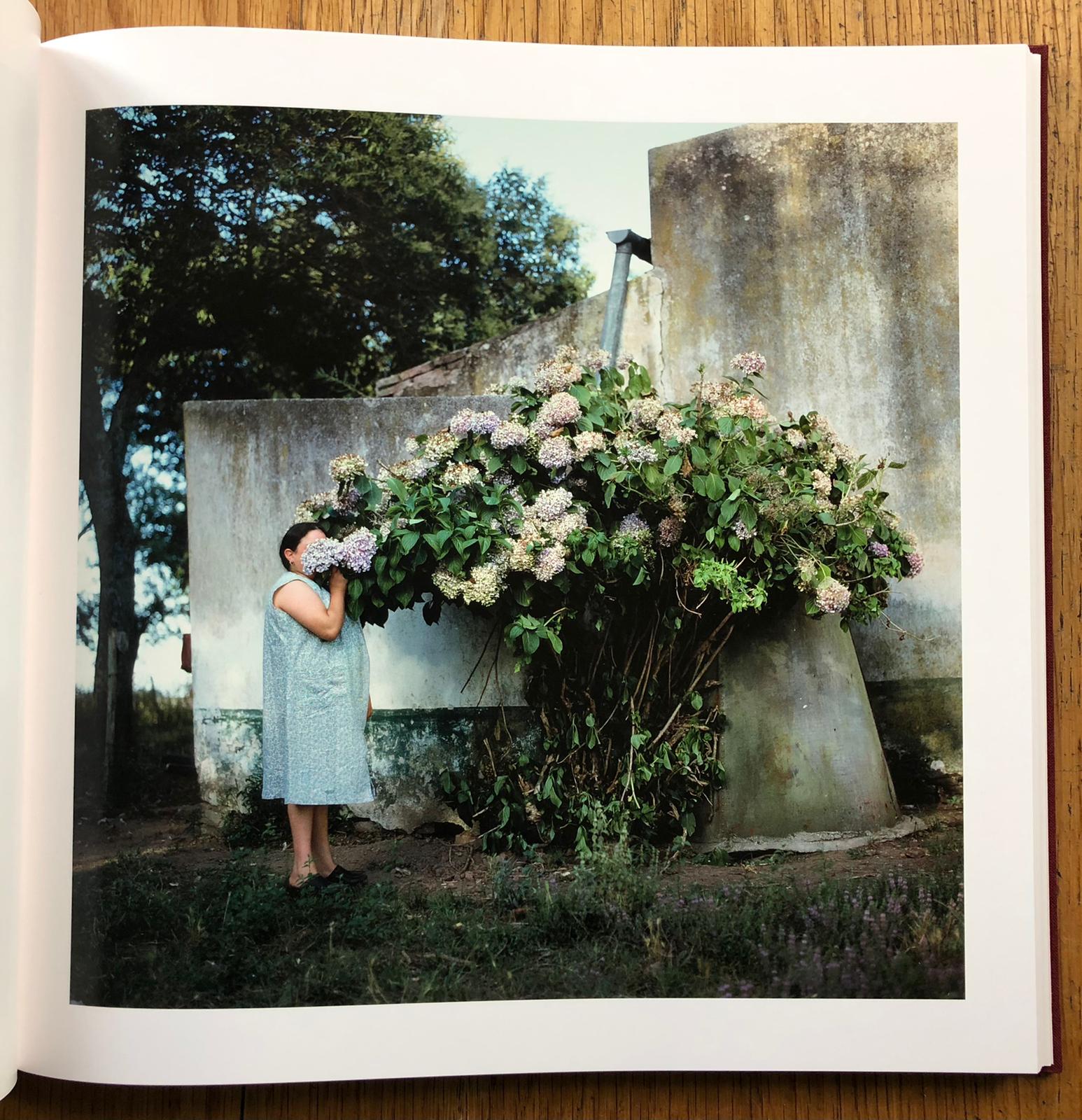 The Adventures of Guille and Belinda and The Enigmatic Meaning of Their Dreams -1st Mack printing - Image 8