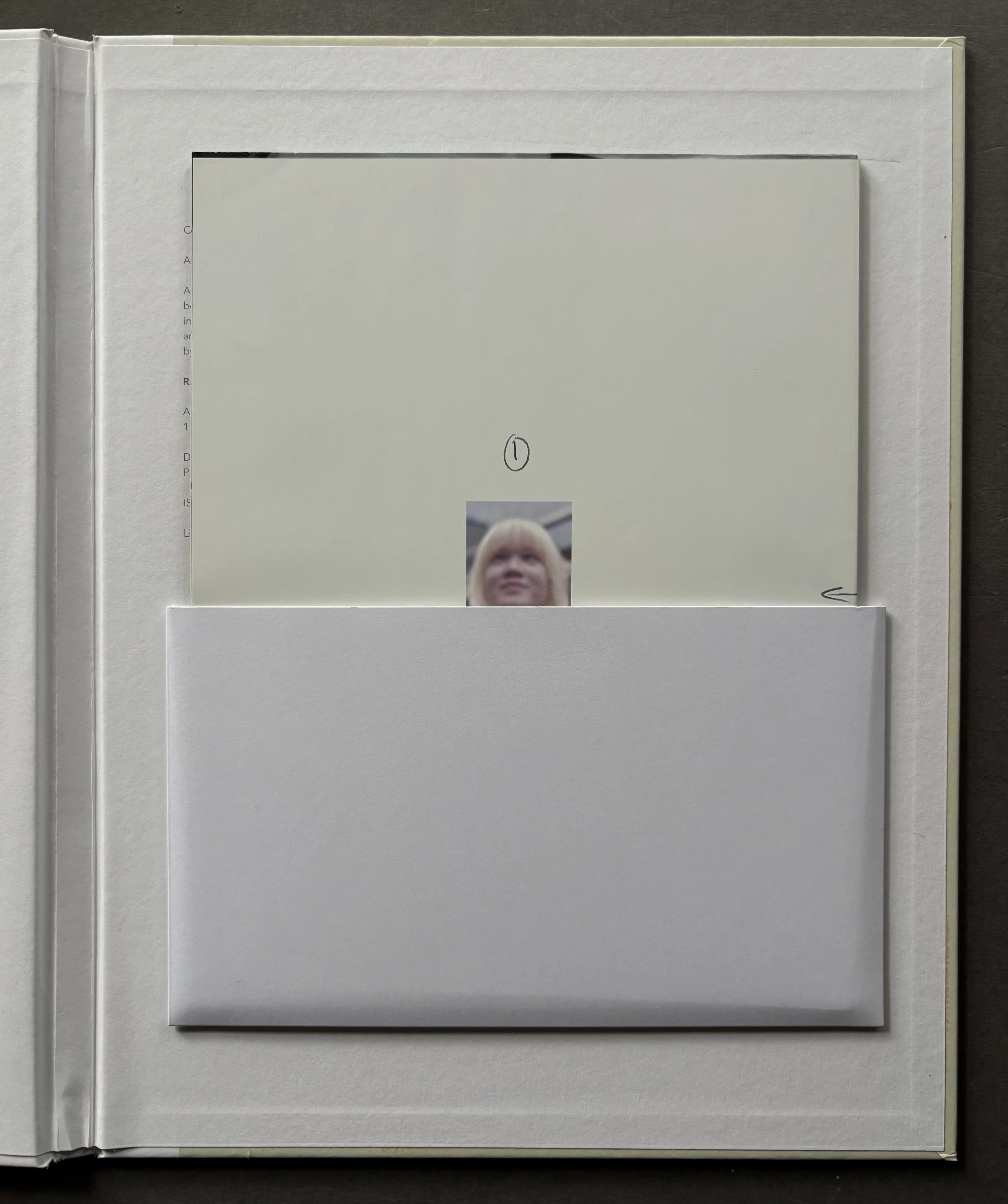 The Auckland Project - Image 5