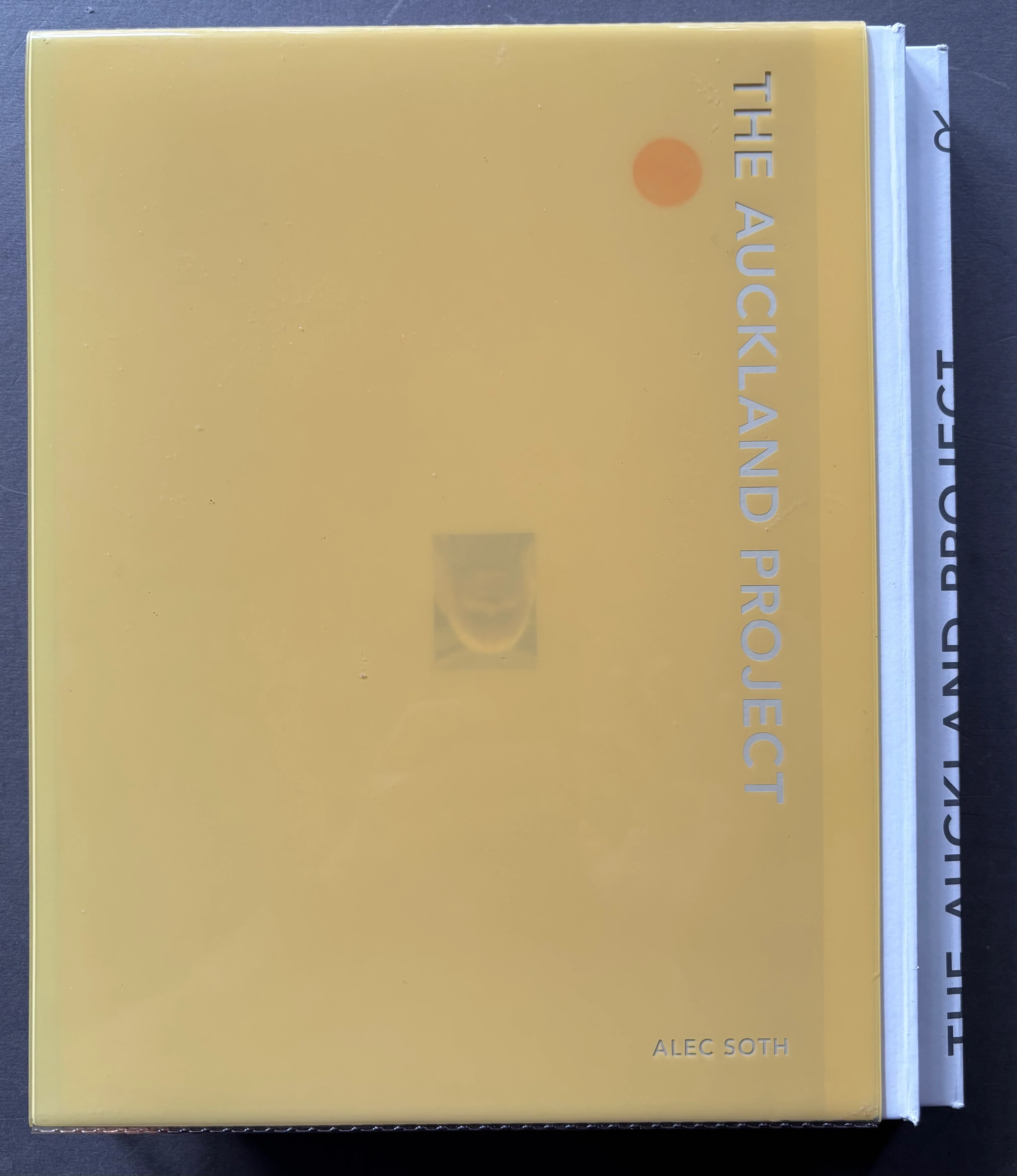 The Auckland Project - Image 7