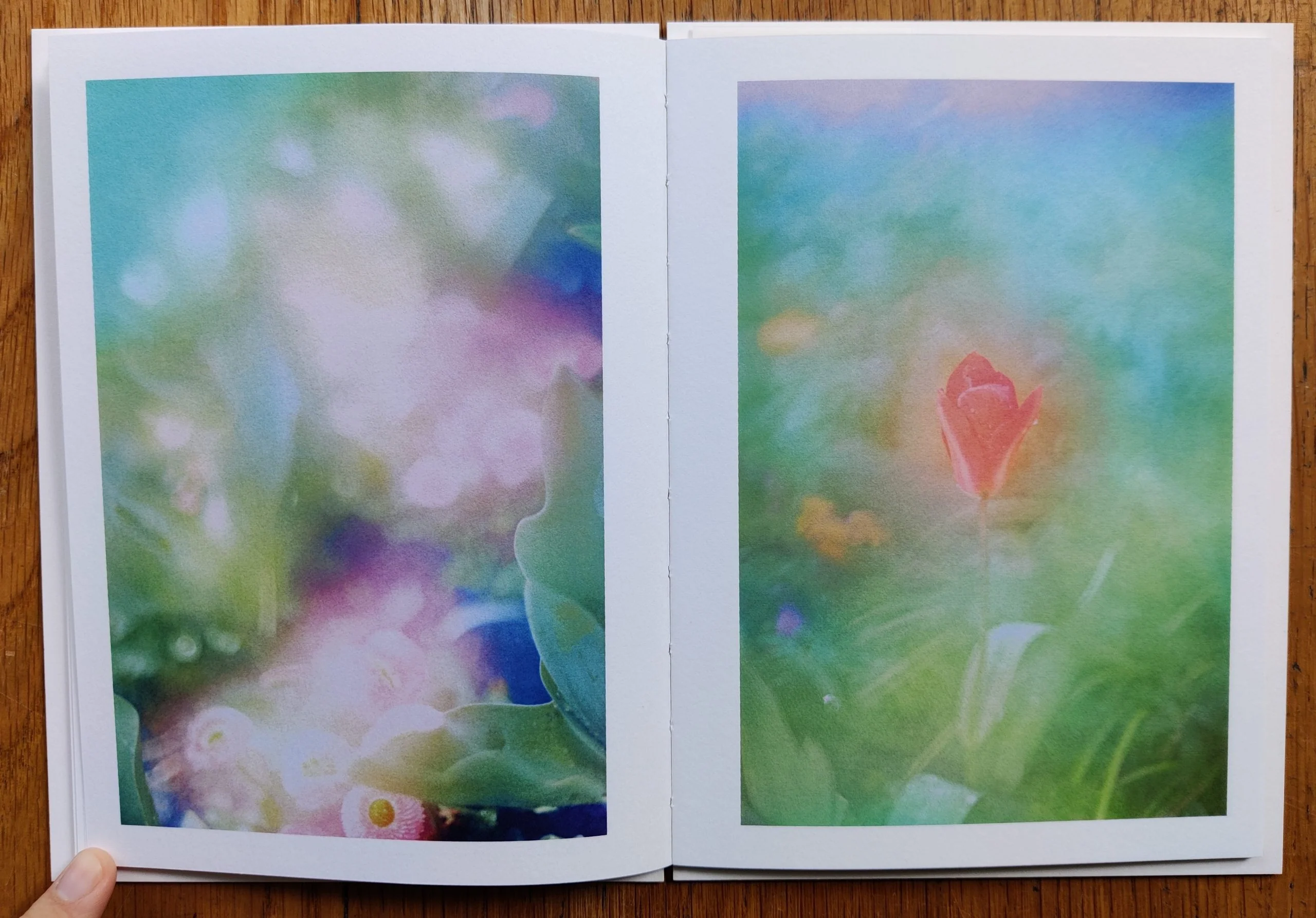The Autumns of Spring - Image 6