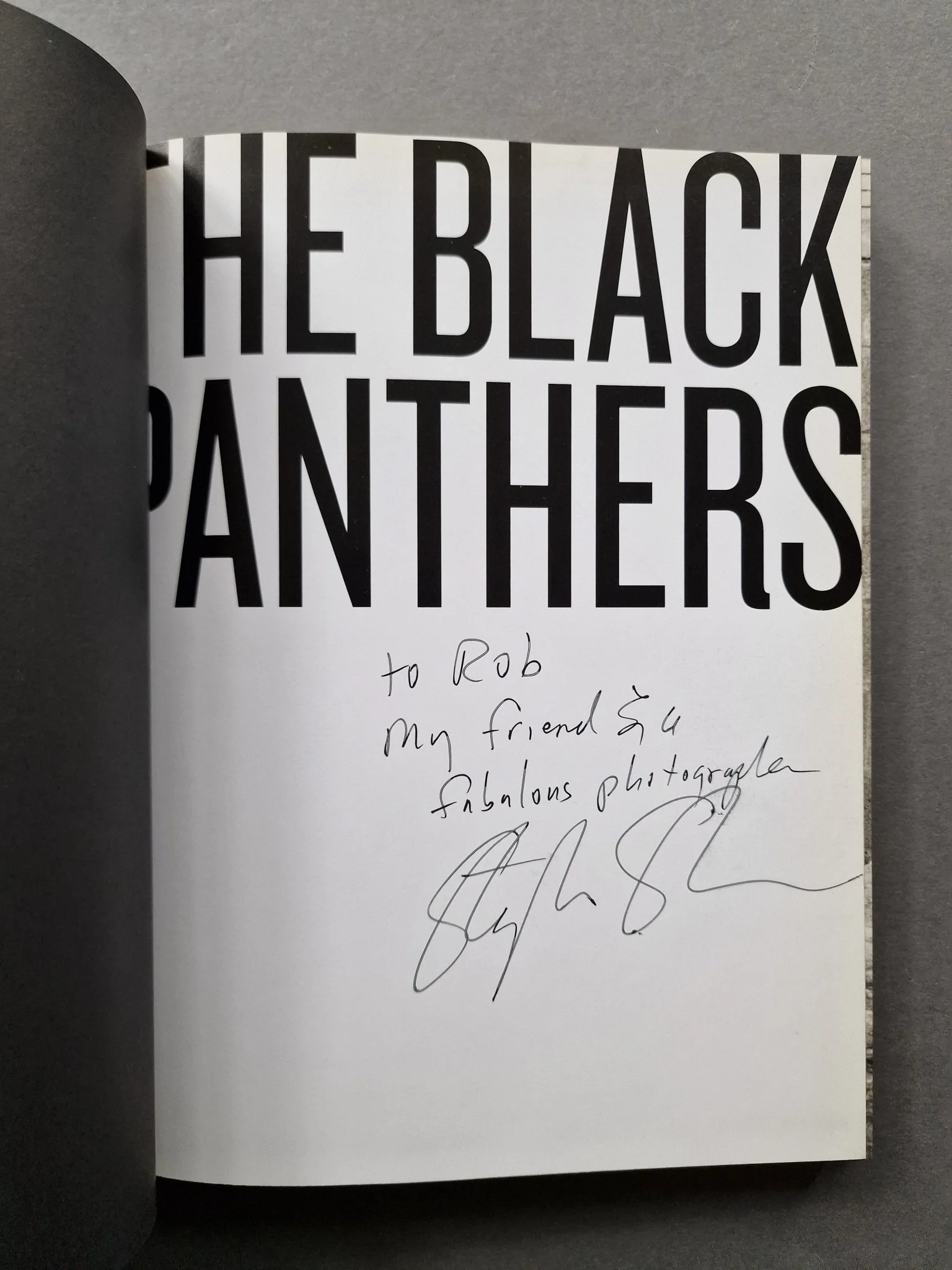The Black Panthers - Image 2