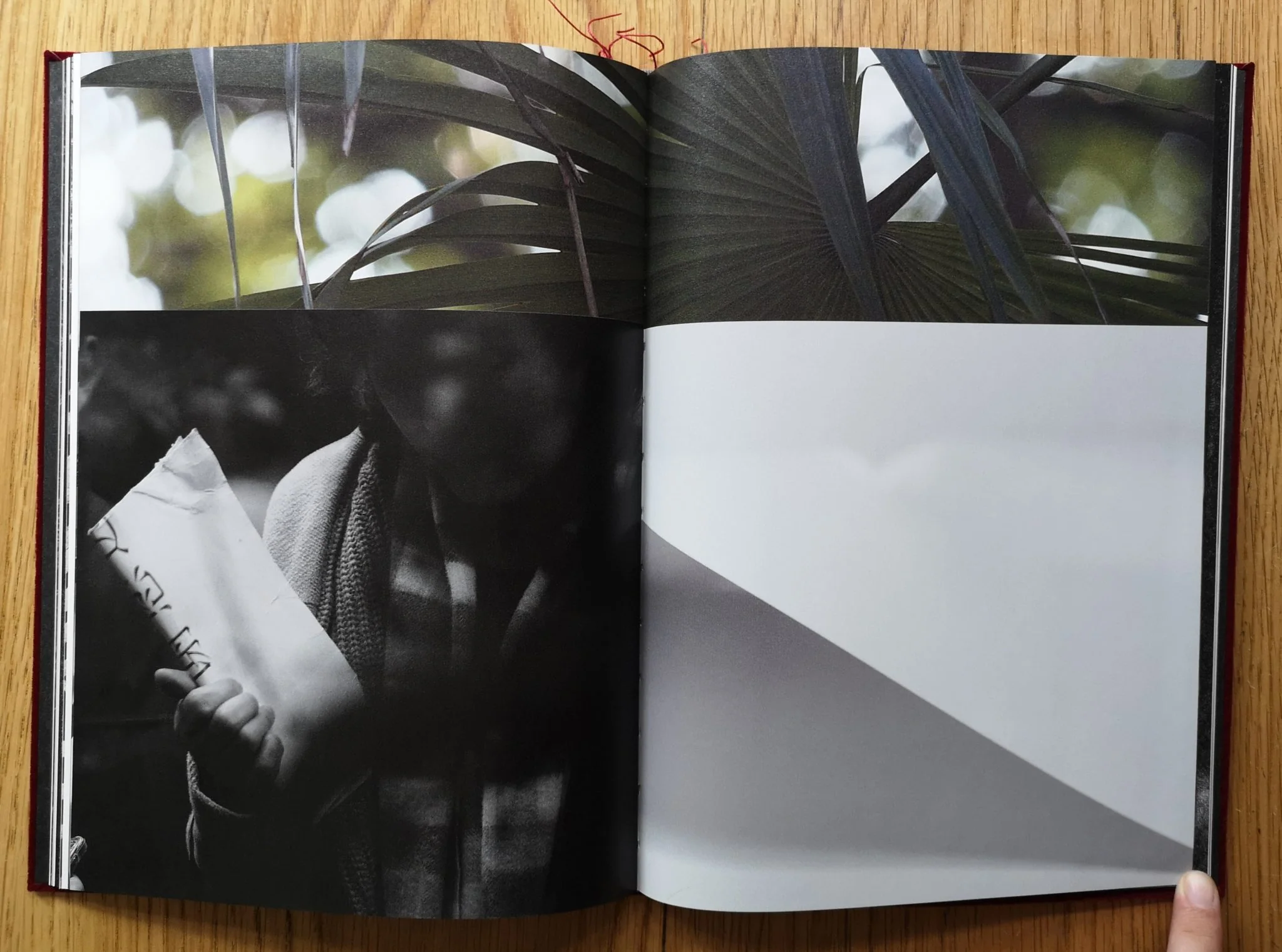 The Bliss of Conformity - Image 3
