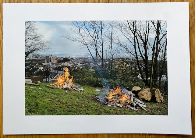 The Budgie Died Instantly - Special Edition (4 Print Options) - Image 3