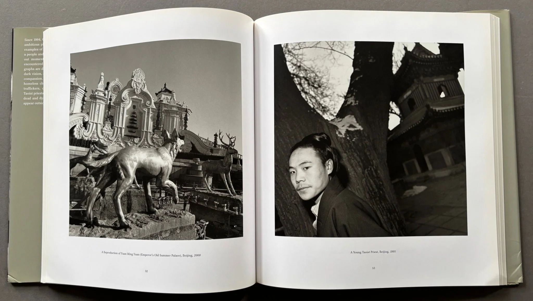 The Chinese - Image 2
