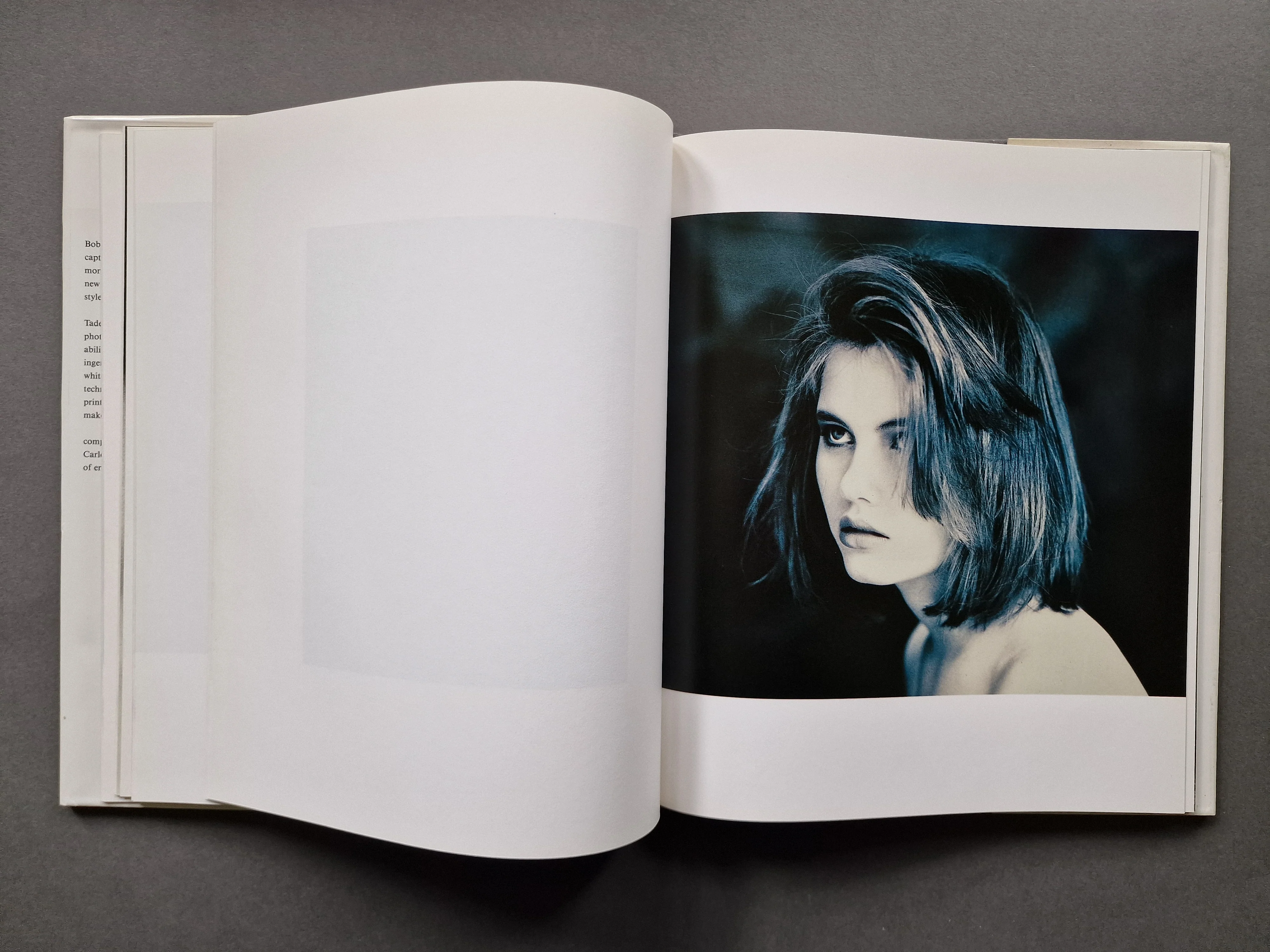 The Dark Summer - Image 5