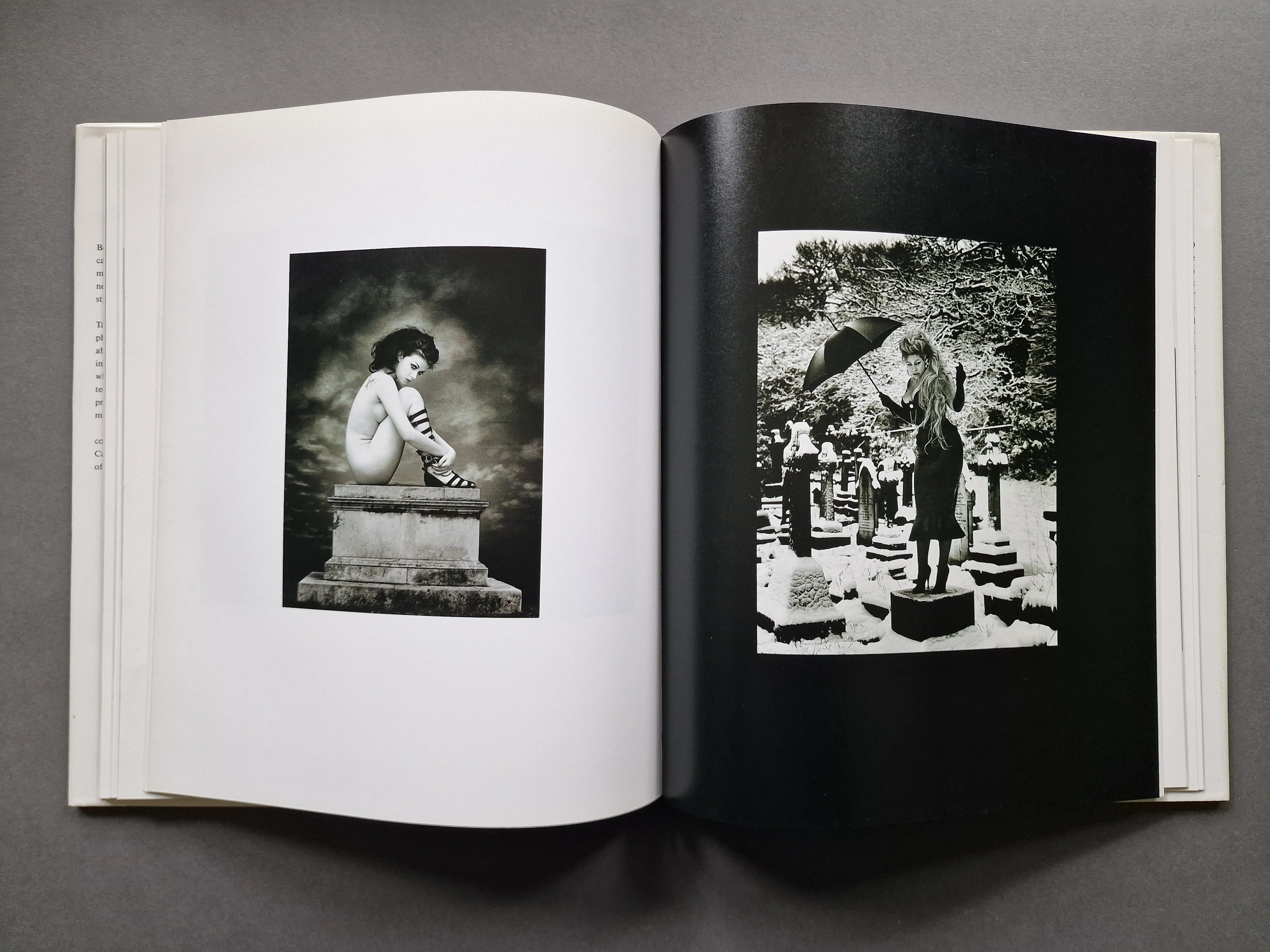 The Dark Summer - Image 7