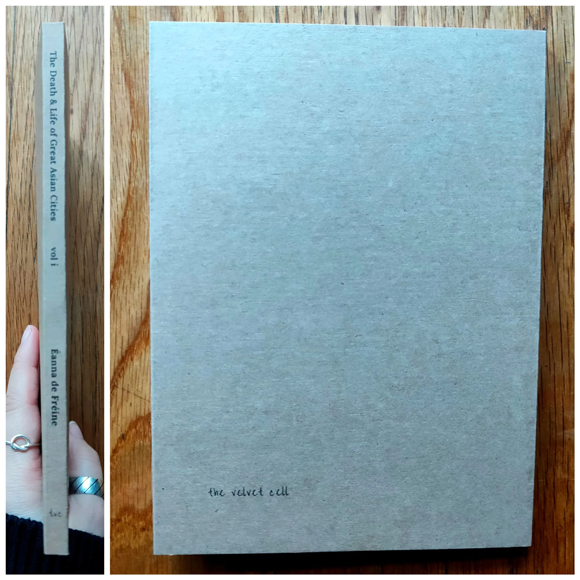 The Death & Life of Great Asian Cities (Vol. 1) - Image 11