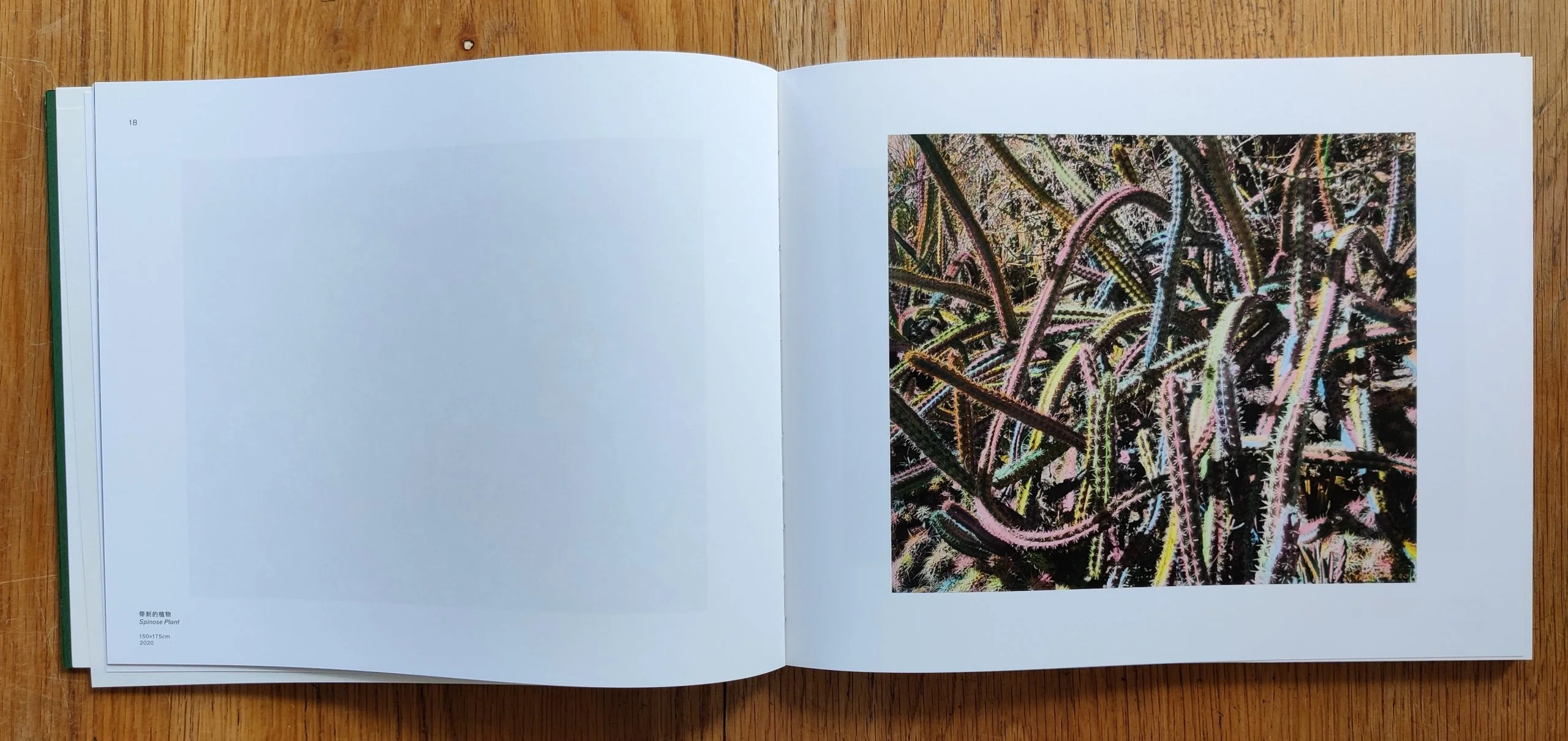 The Drawn Out Moment - Image 5