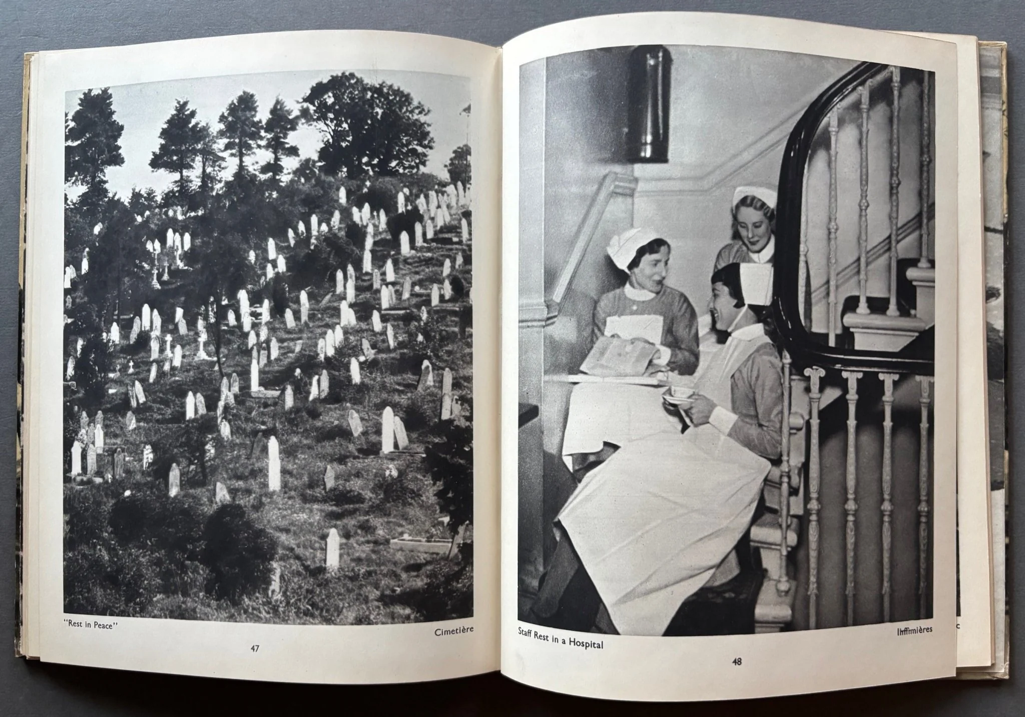 The English at Home - Image 5