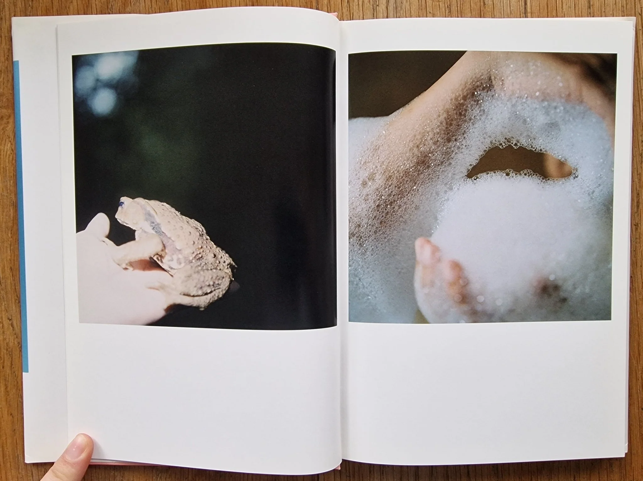 The Eyes, the Ears - Image 3
