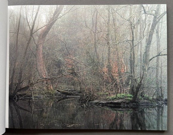 The Floods (The Collectors Edition) - Image 4