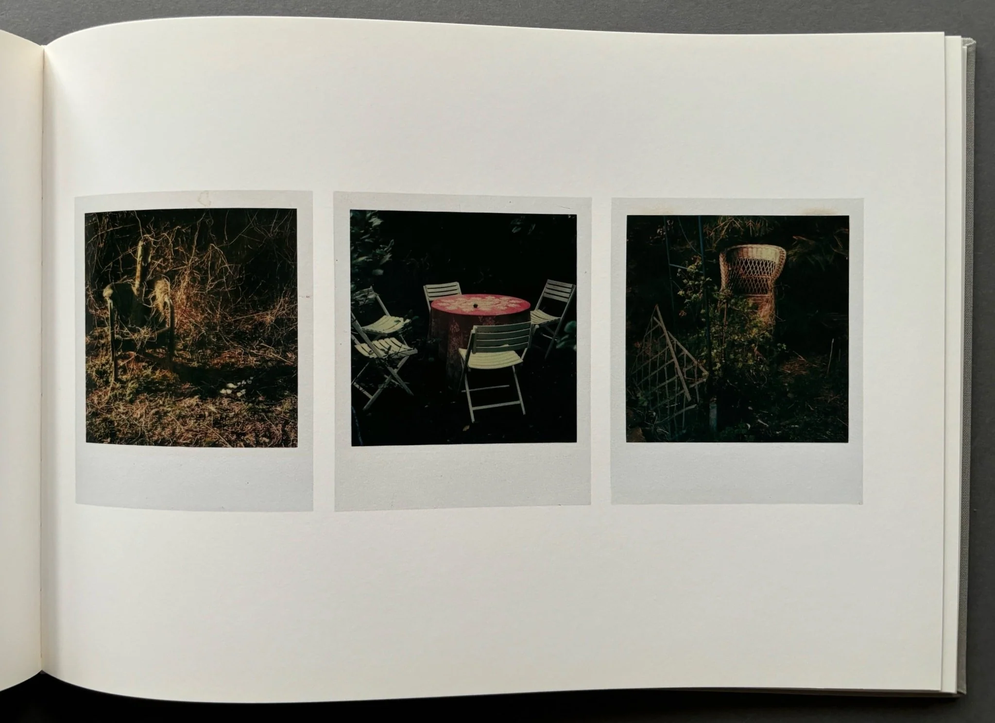 The Garden - Image 2