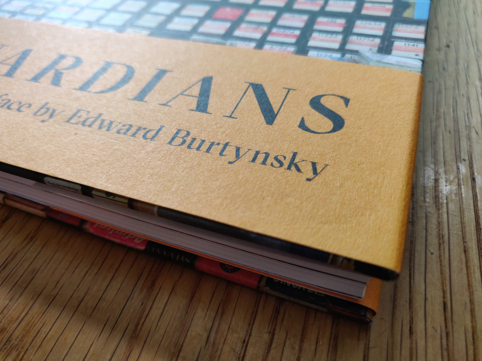 The Guardians - Image 3