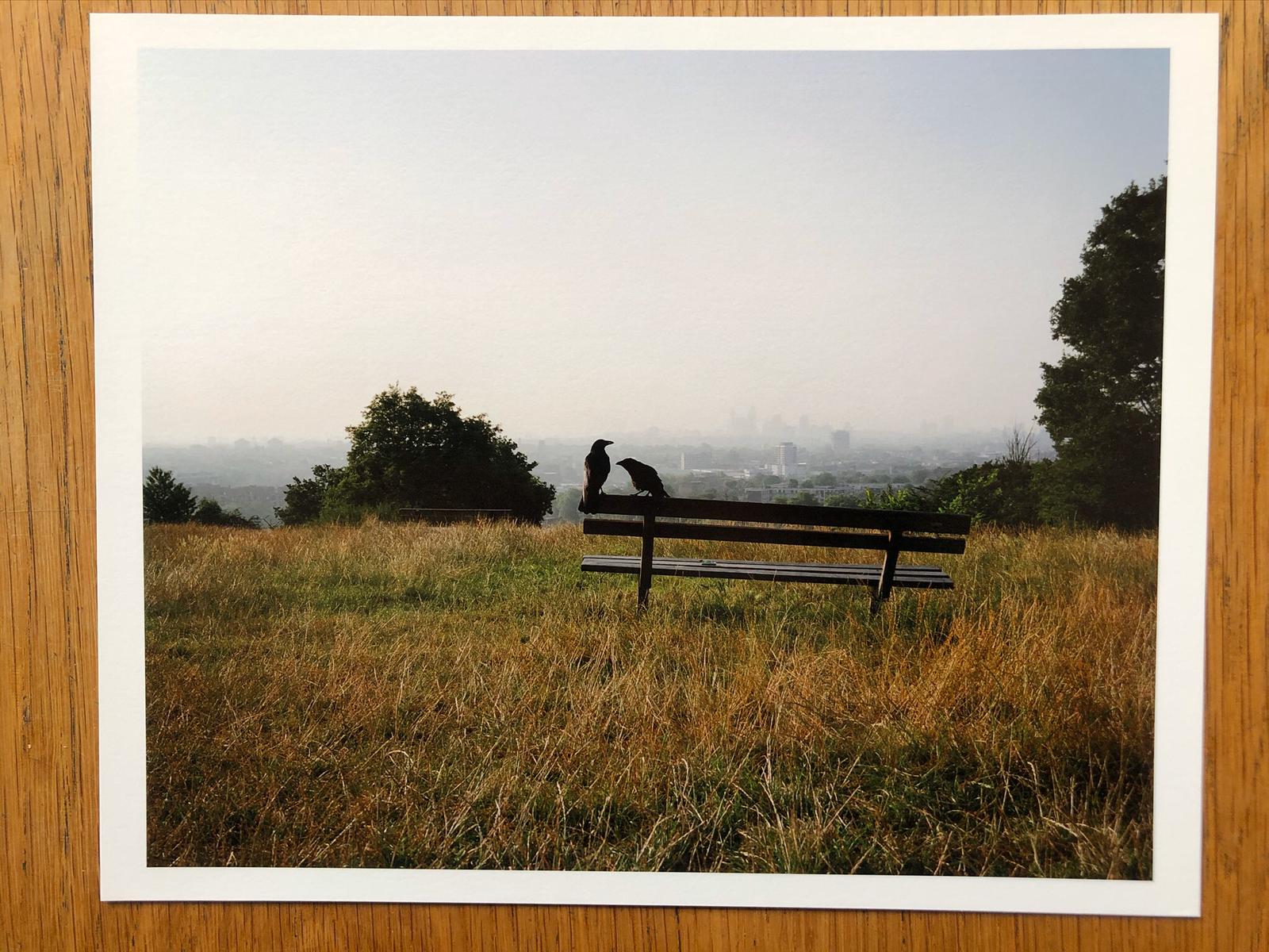 The Heath - Special Edition - Image 3
