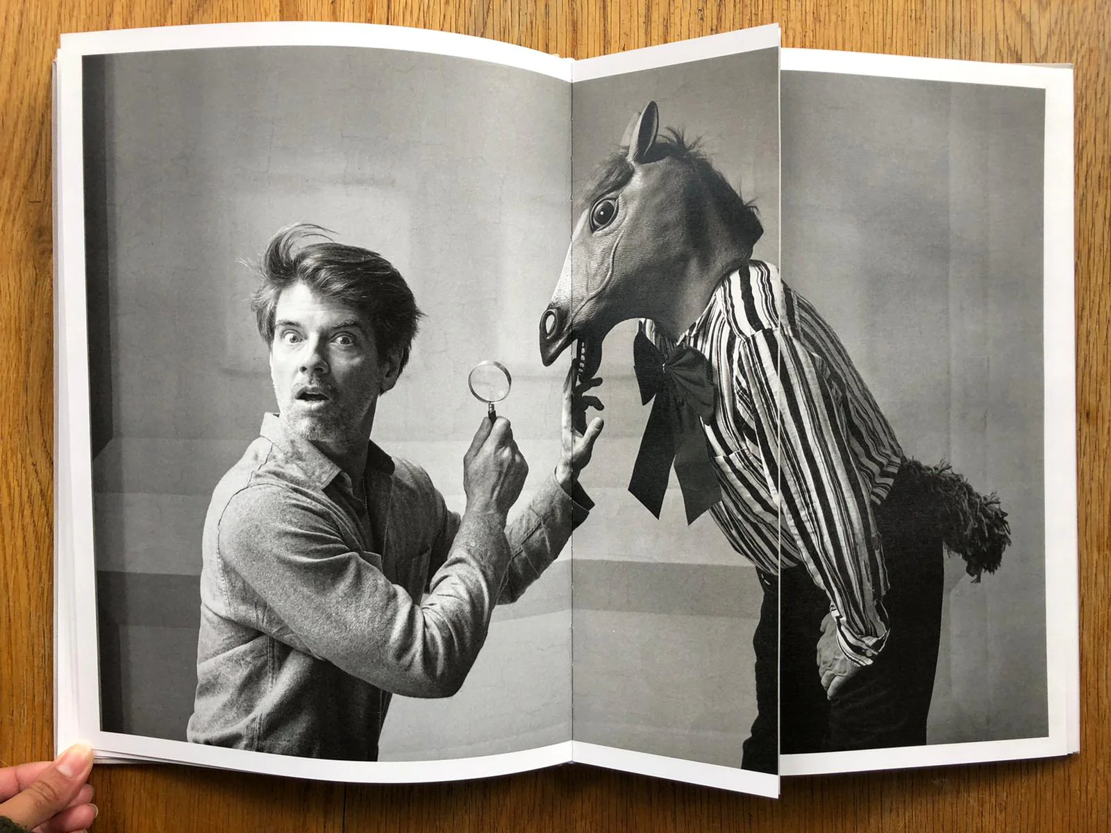 The Idiots Delight - Image 6