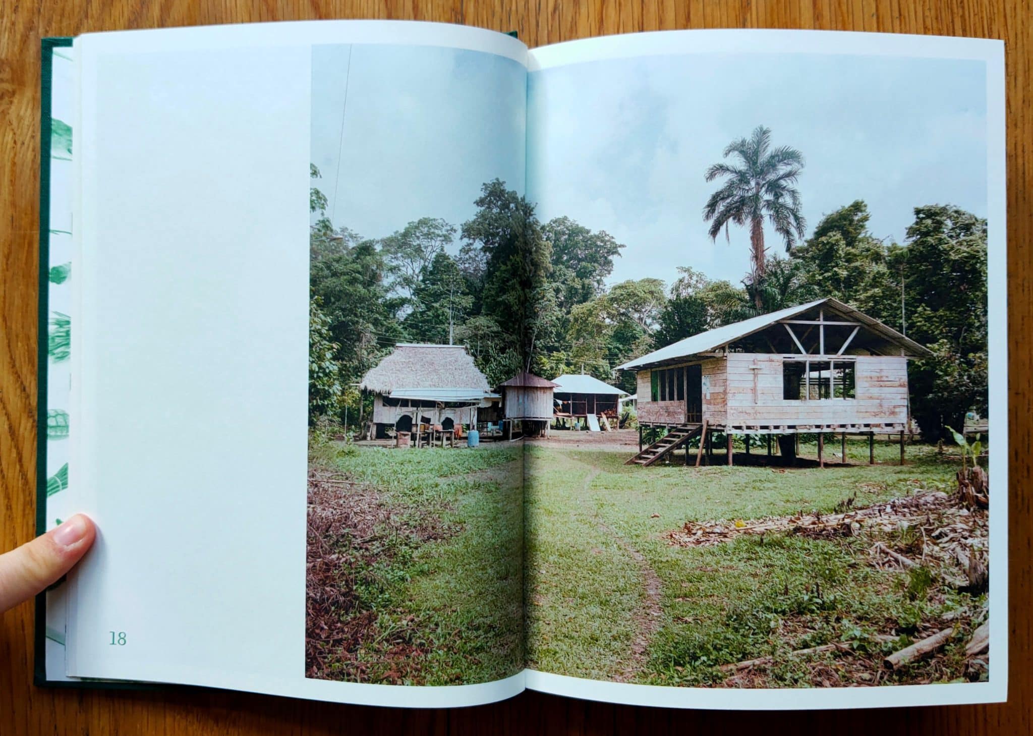 The Jungle Book: Contemporary Stories of the Amazon and Its Fringe - Image 3