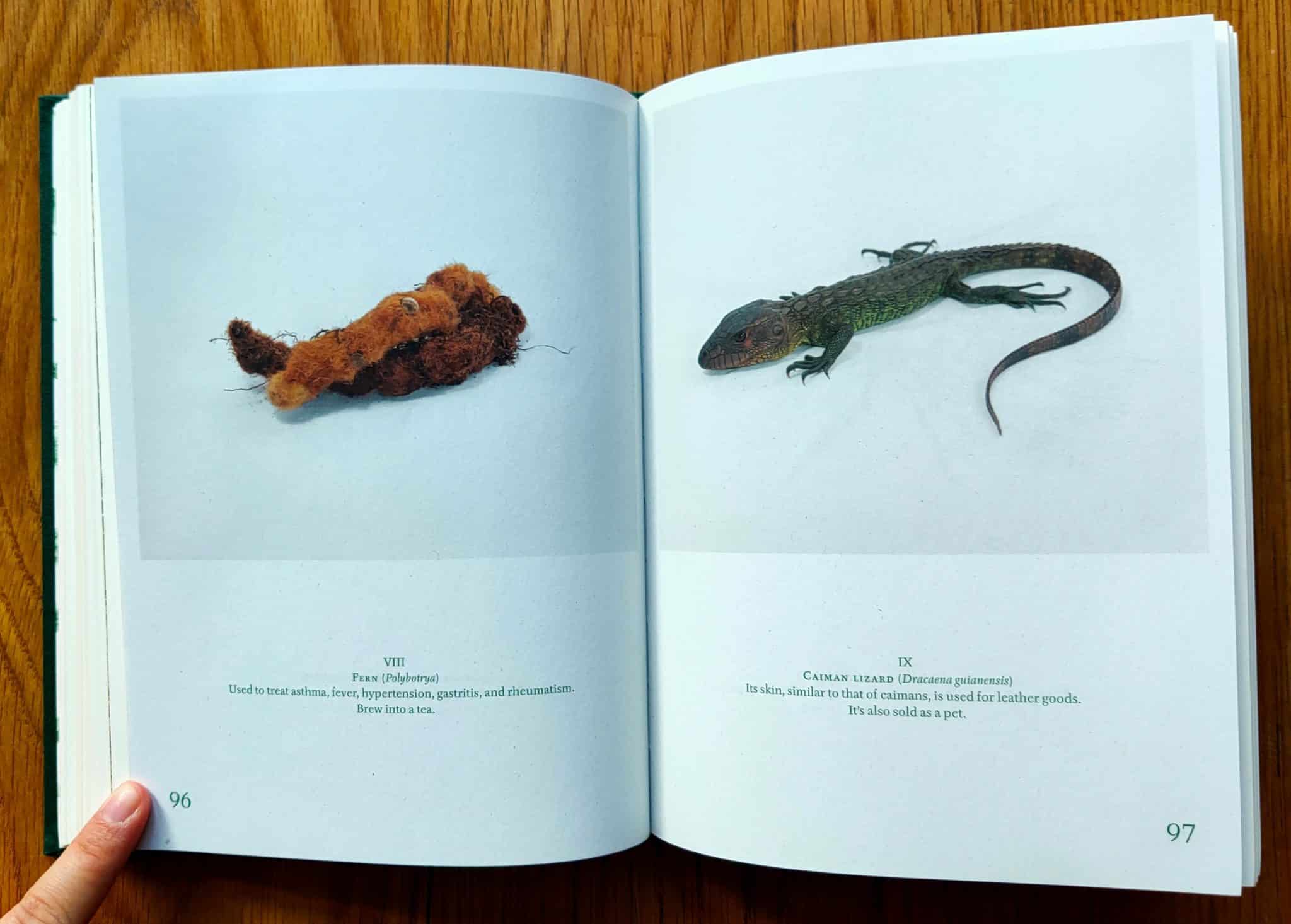 The Jungle Book: Contemporary Stories of the Amazon and Its Fringe - Image 4