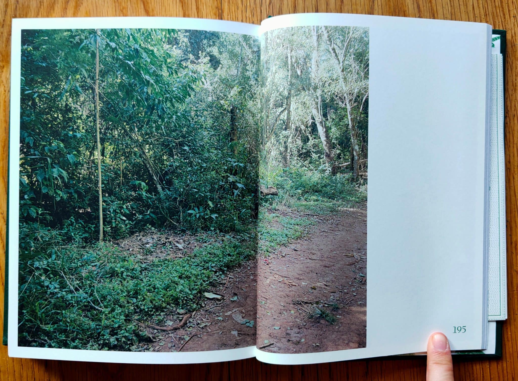The Jungle Book: Contemporary Stories of the Amazon and Its Fringe - Image 5