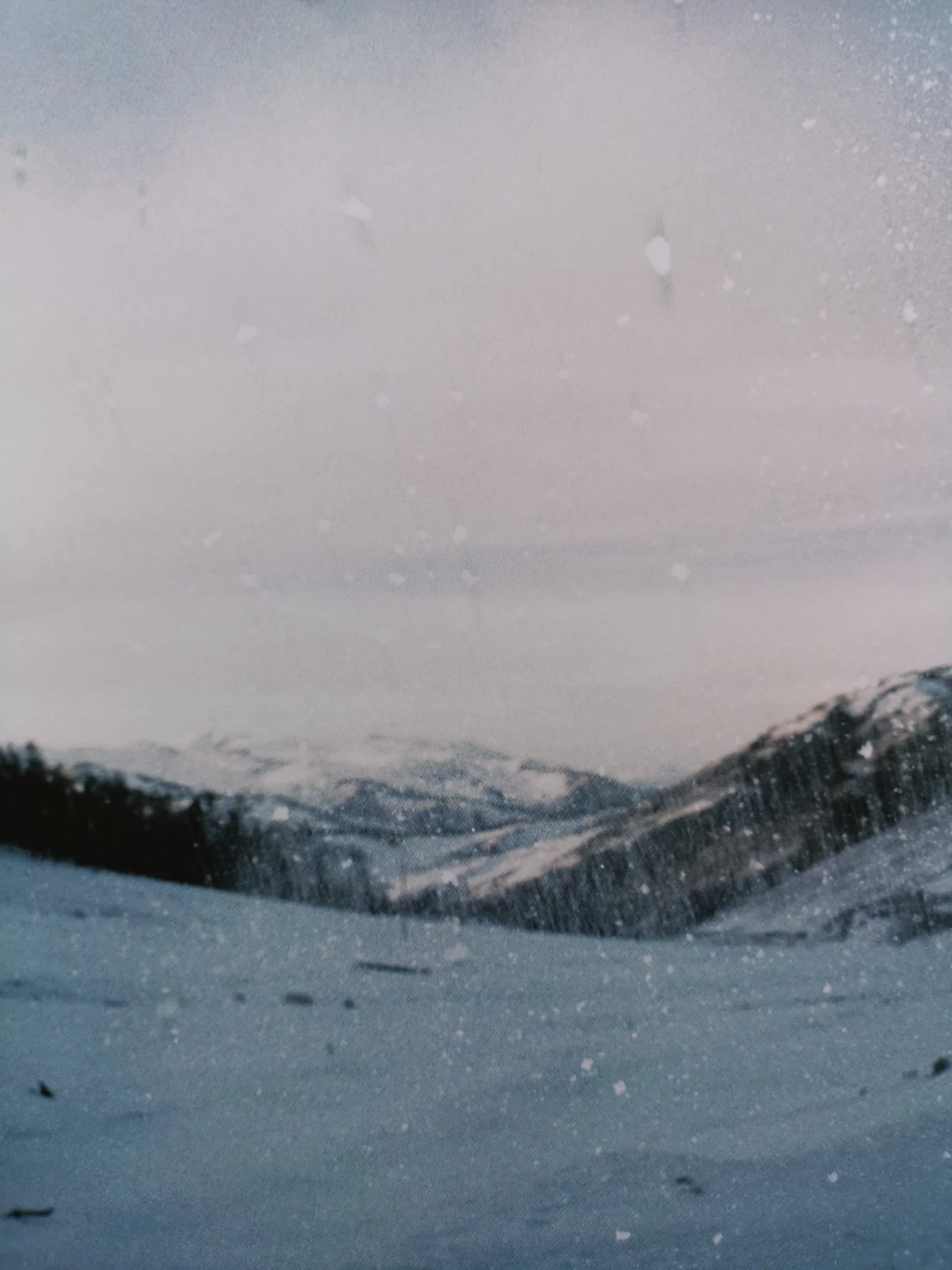 The Land Between Us - Image 3
