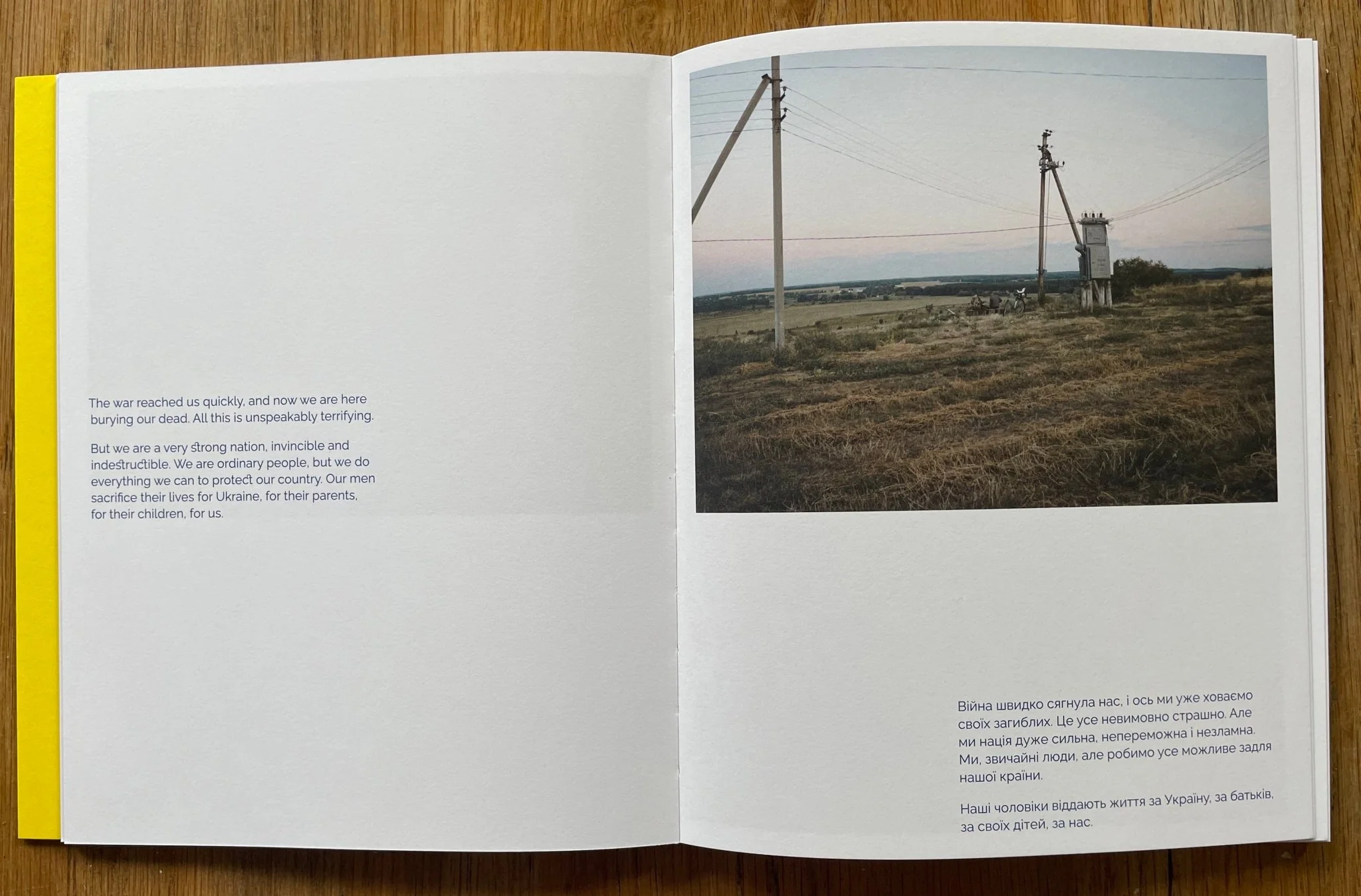 The Land is Yellow, the Sky is Blue - Image 3