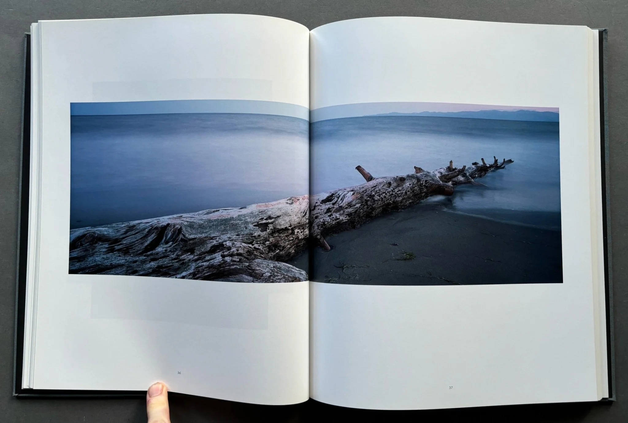 The Landscape - Image 2