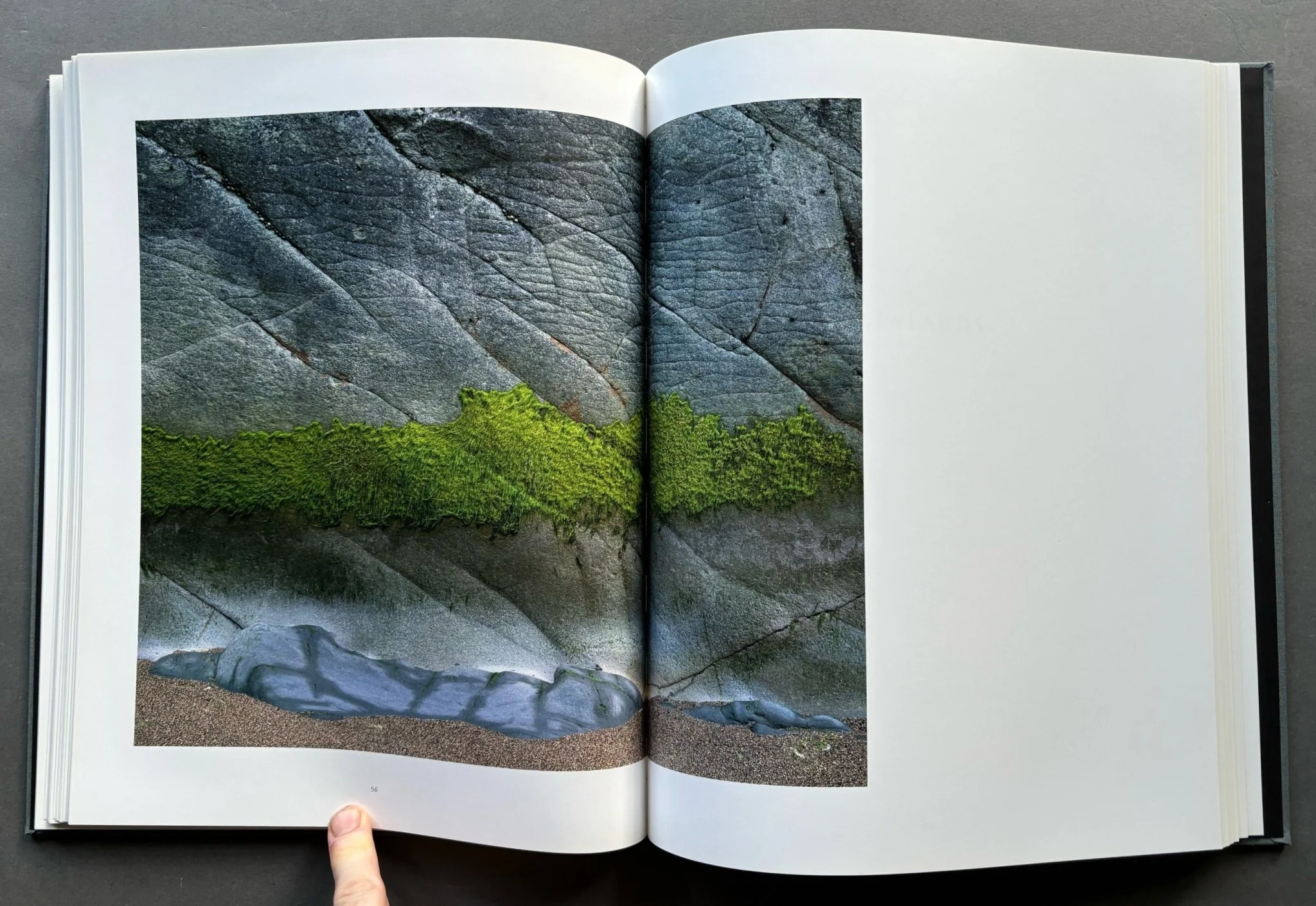 The Landscape - Image 4