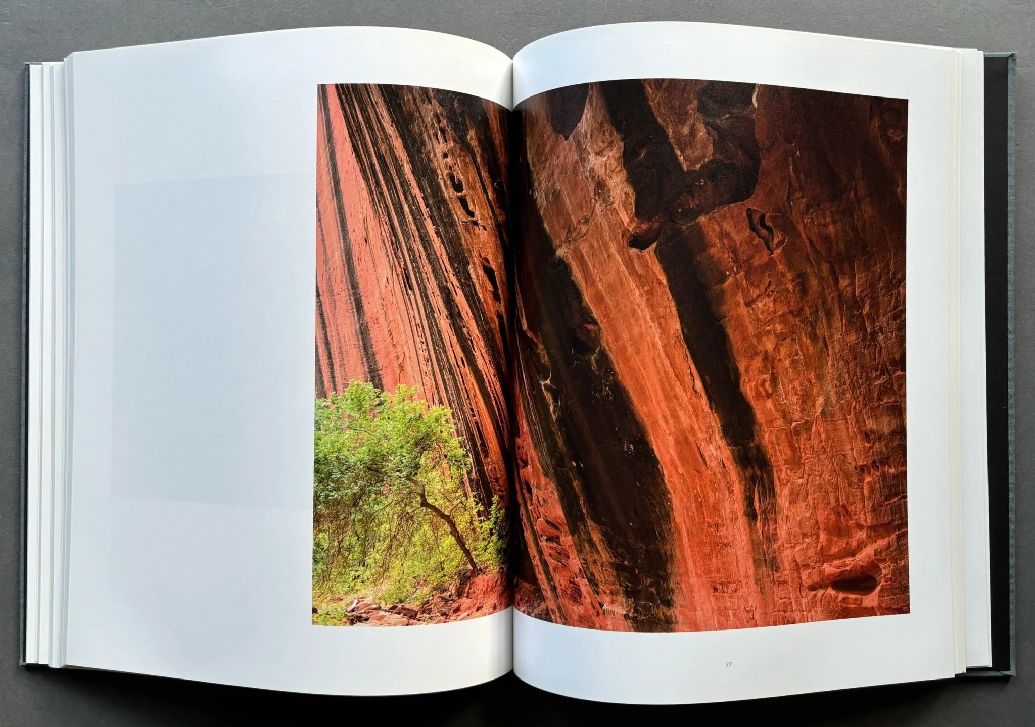 The Landscape - Image 5