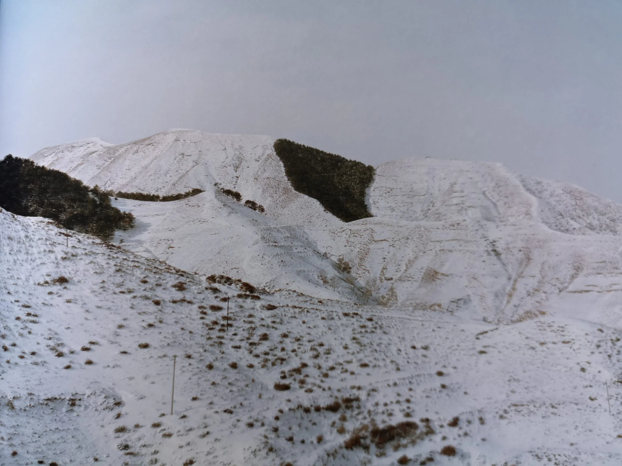 The Landscape - Image 4