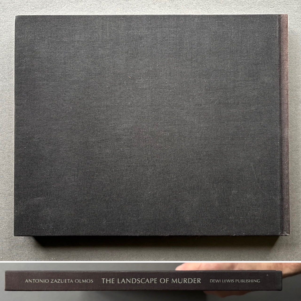 The Landscape of Murder - Image 7