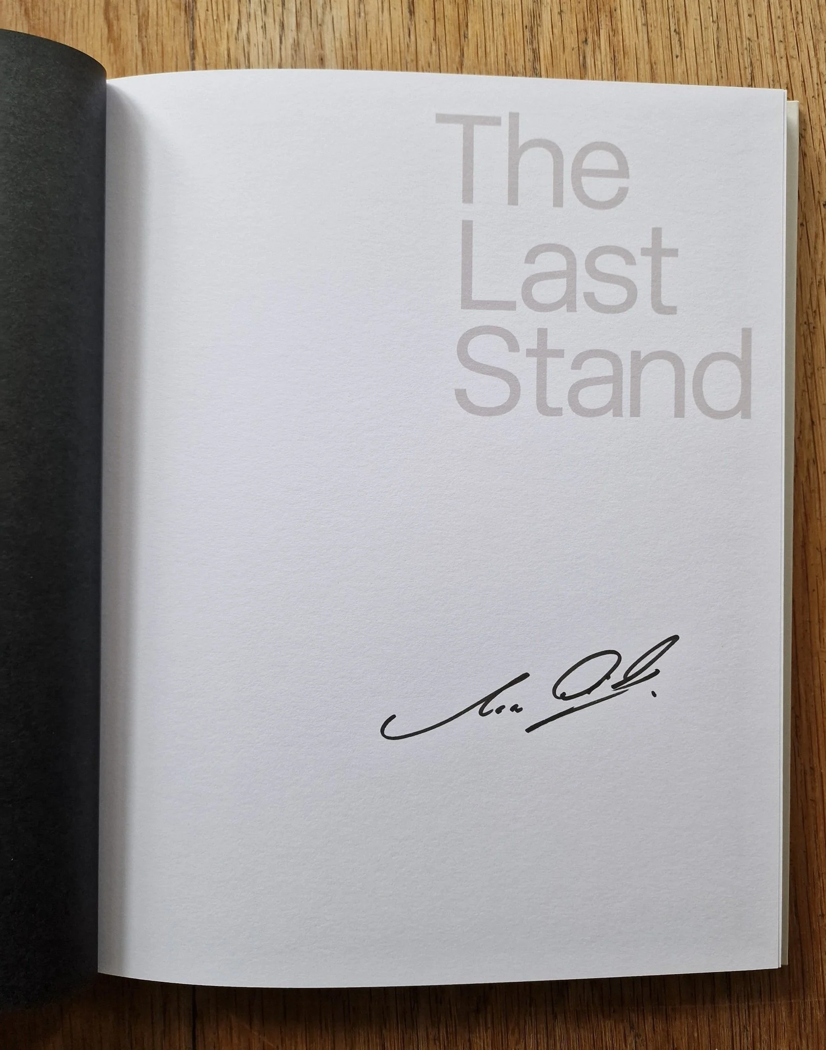 The Last Stand - Image 2