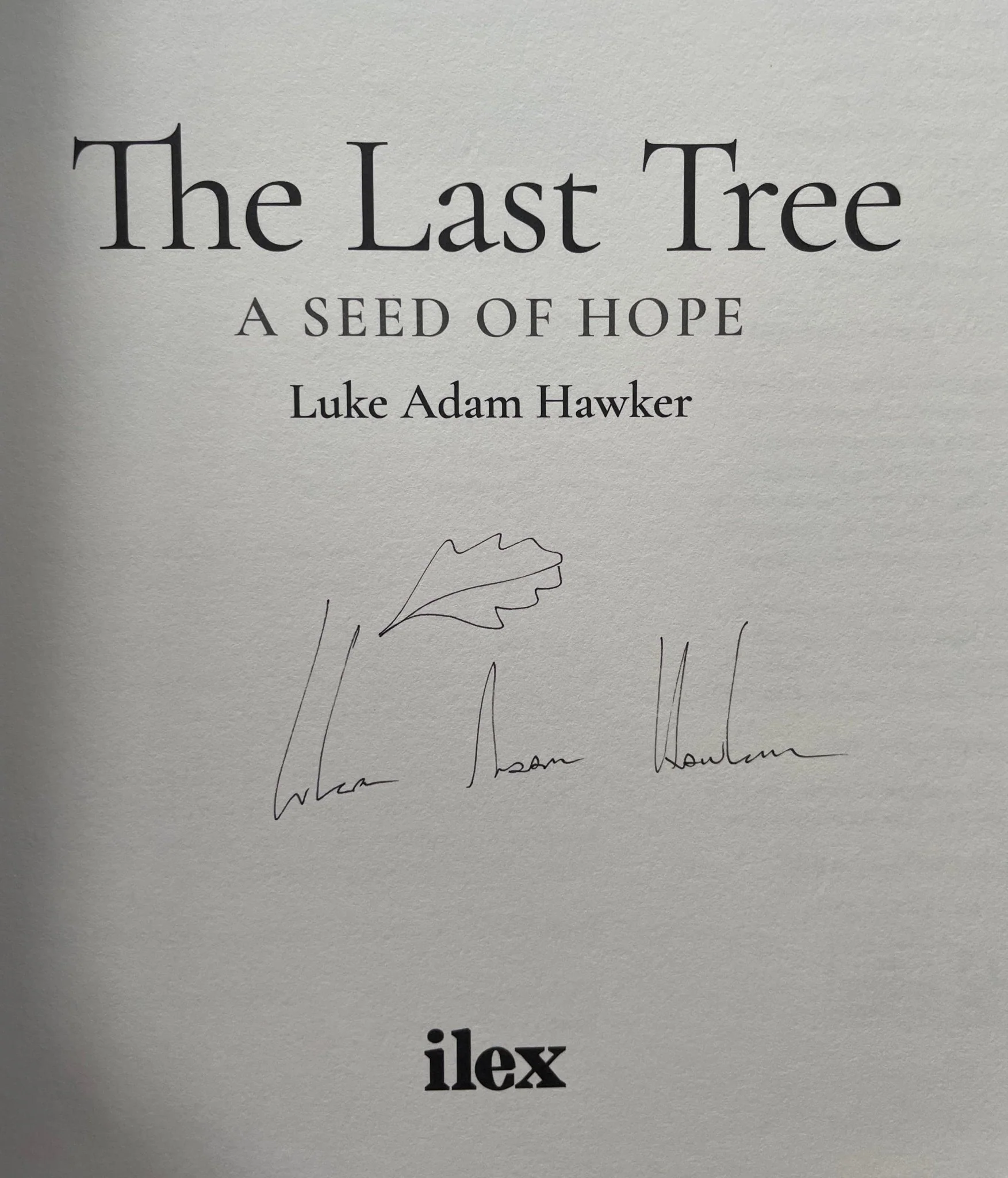 The Last Tree: A Seed Of Hope - Image 2