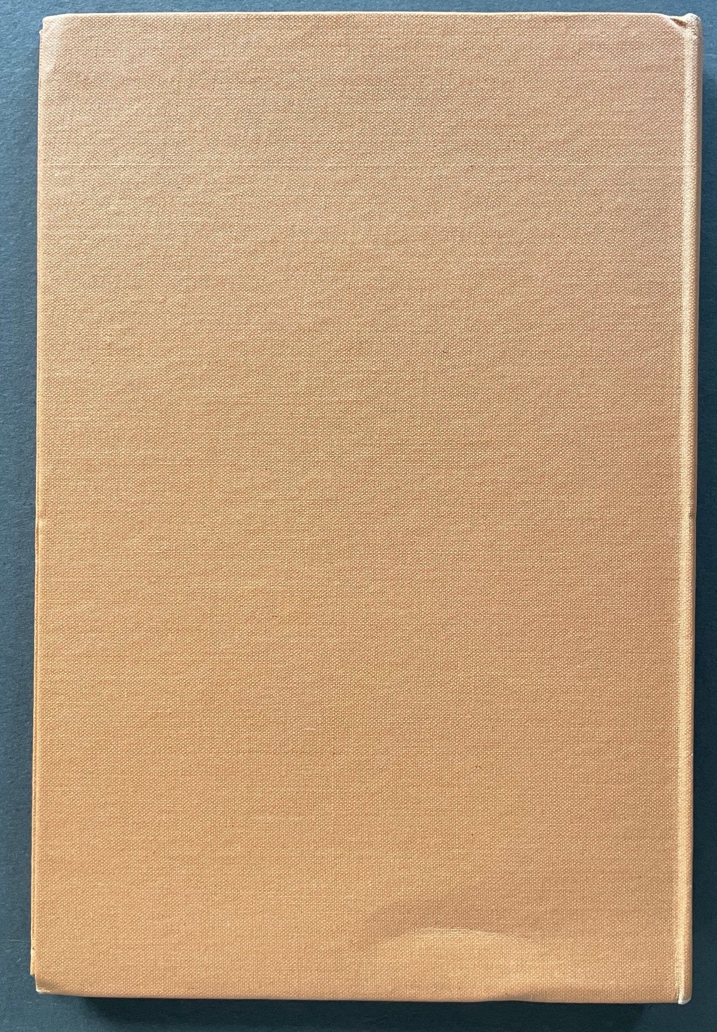 The Little Prince - UK 1st - Image 6