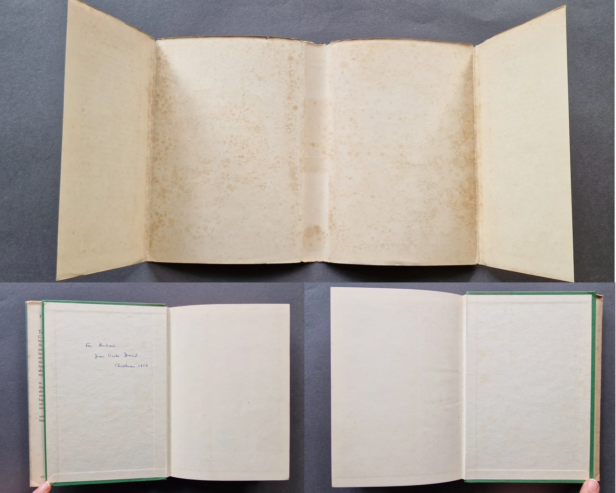 The Magician's Nephew (The Chronicles of Narnia) - 1st - Image 3