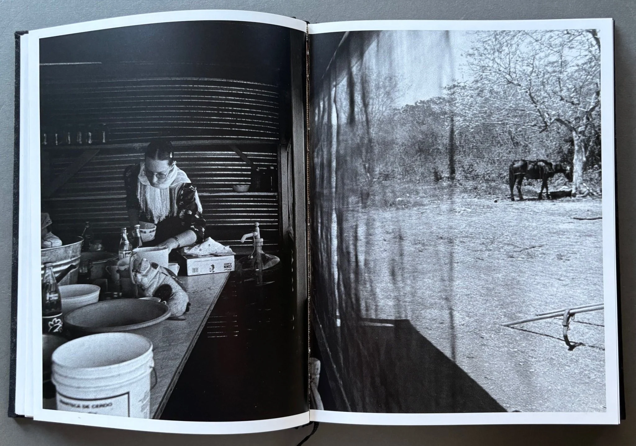The Mennonites - Image 4