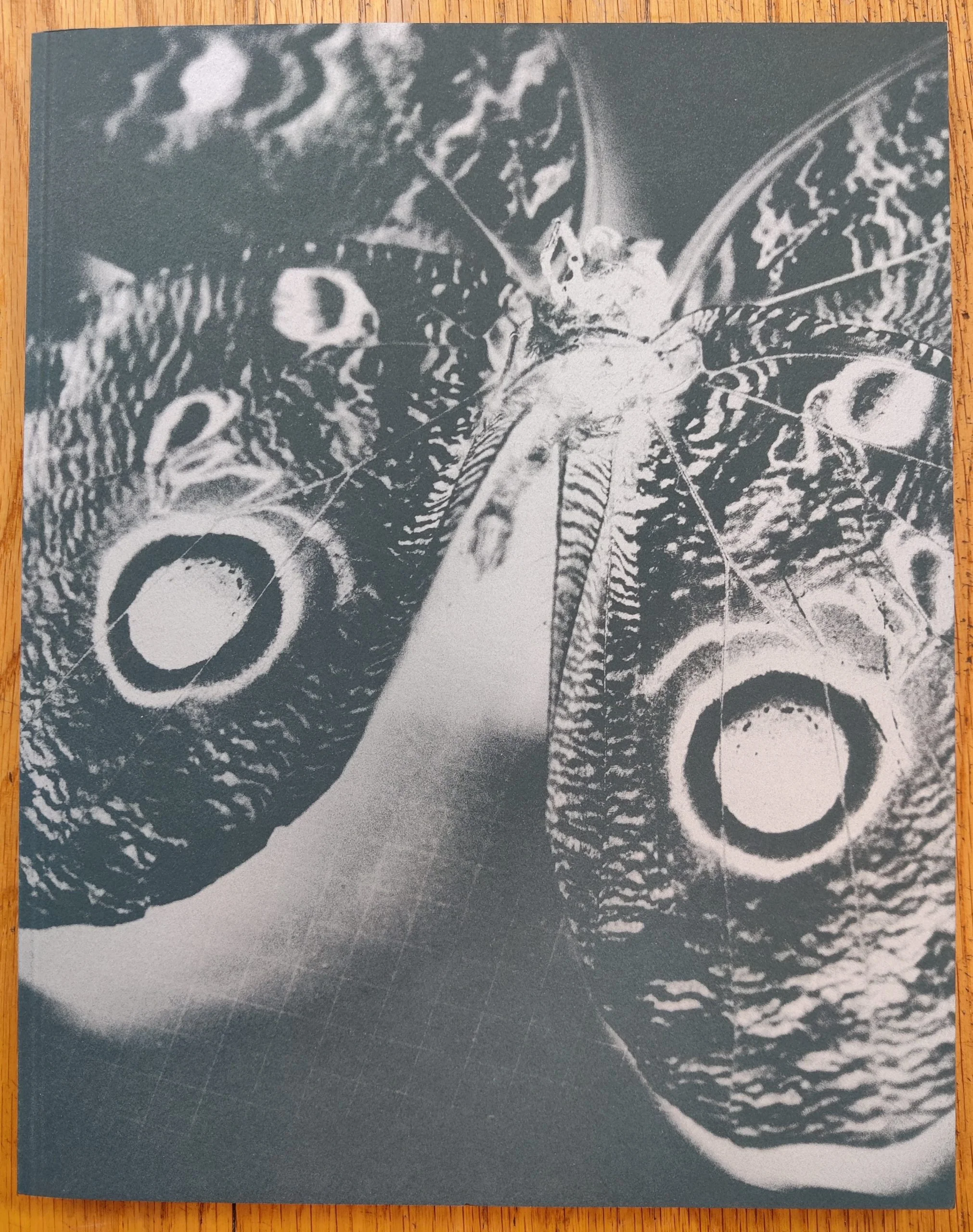 The Missing Eye
