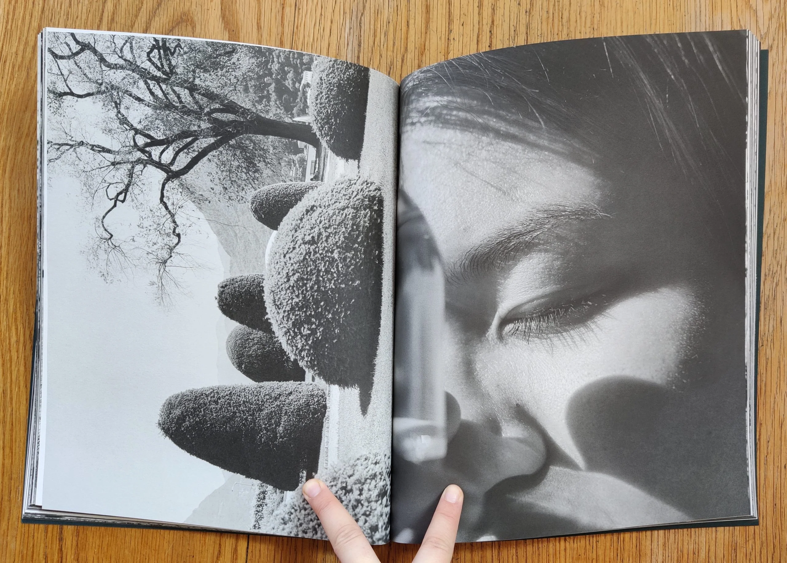 The Missing Eye - Image 6