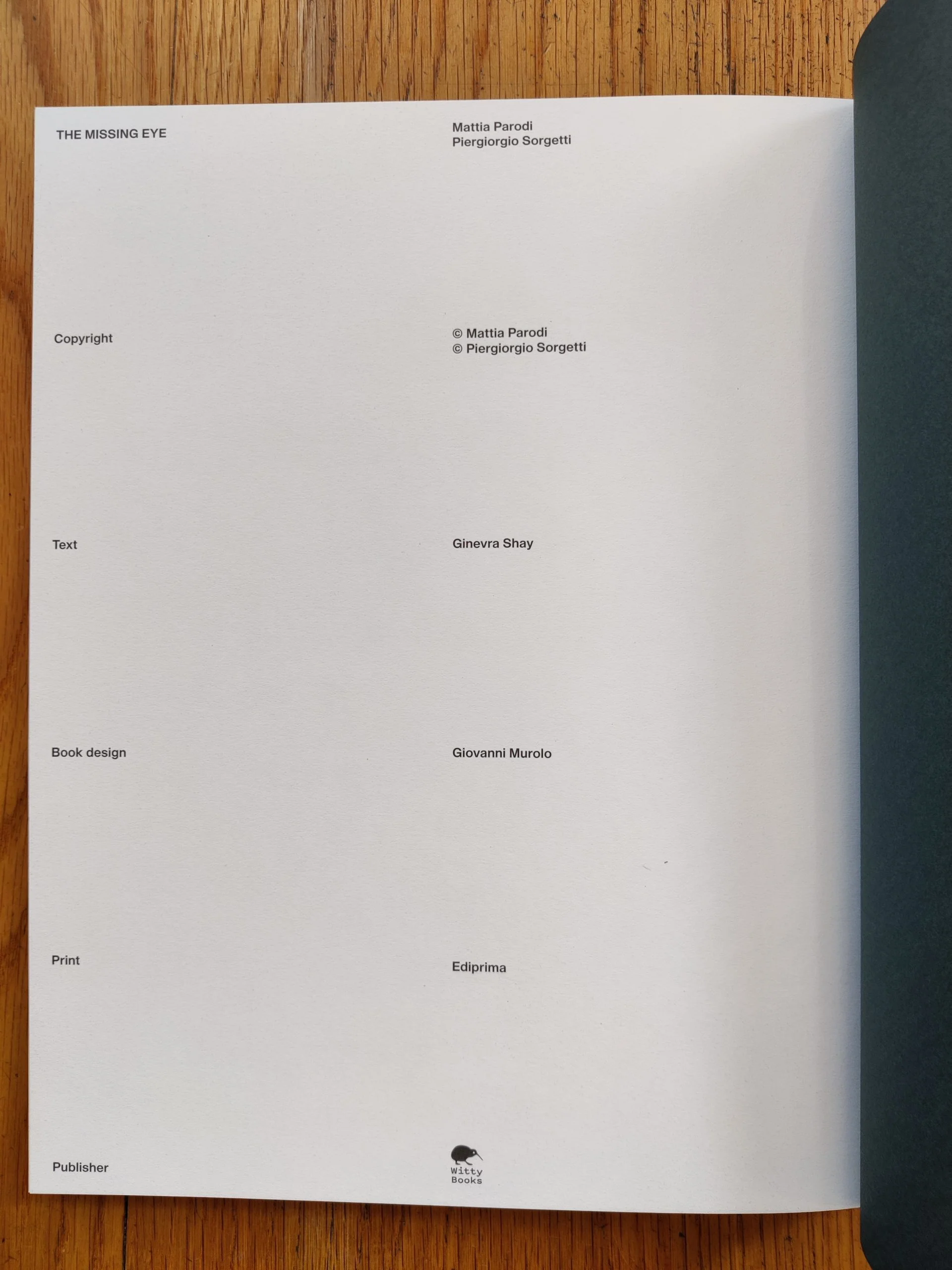 The Missing Eye - Image 8
