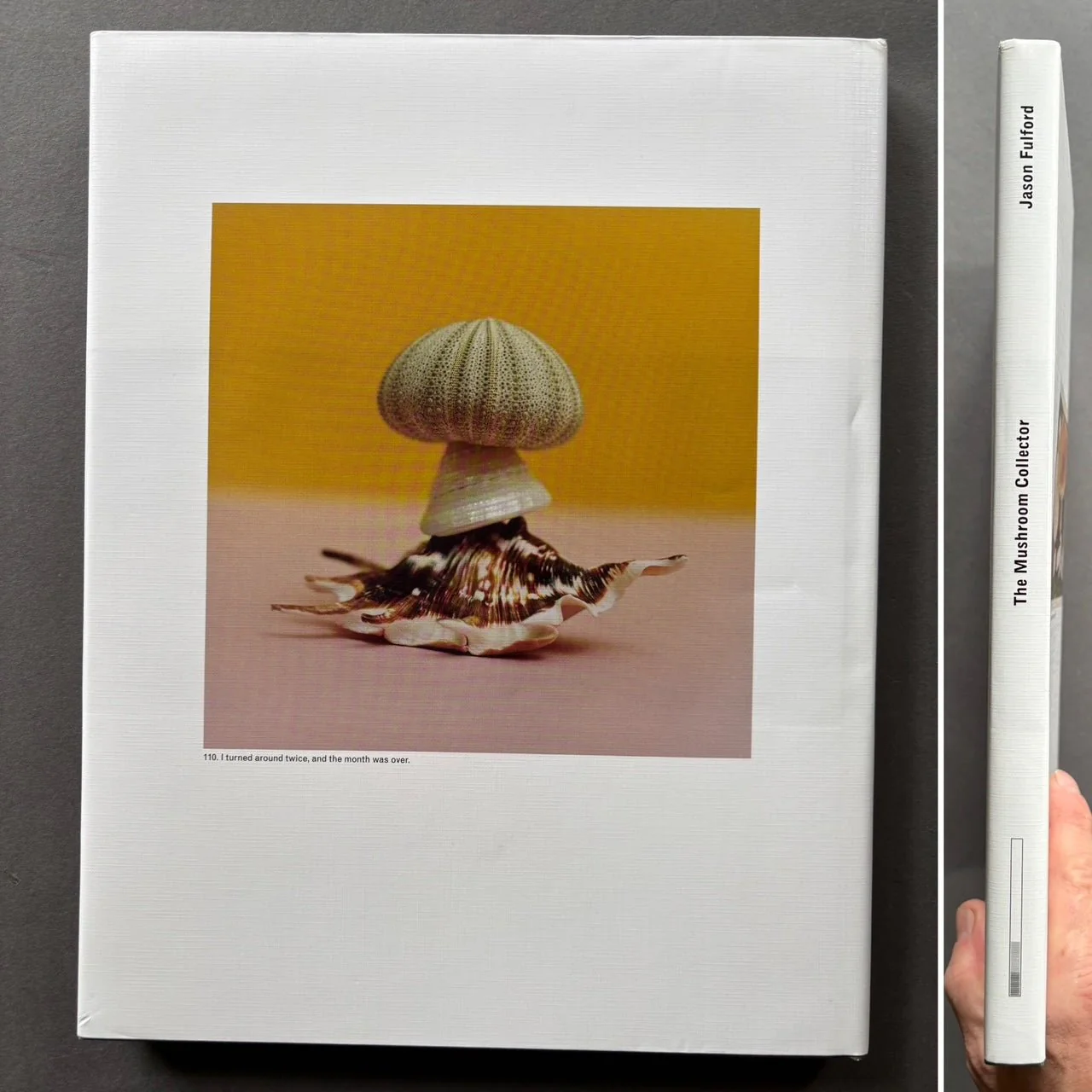 The Mushroom Collector - Image 8
