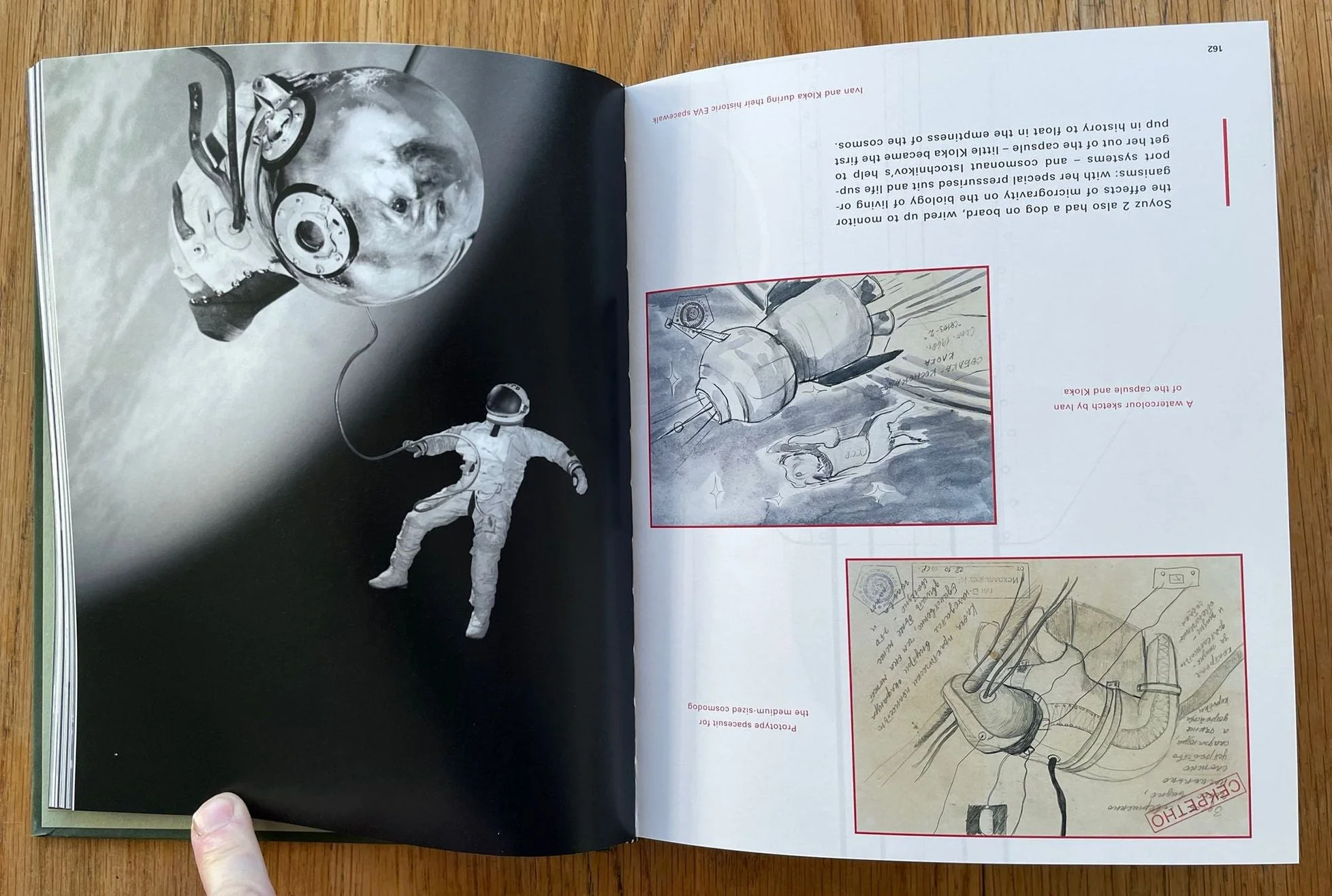 The Nature of Photography / The Photography of Nature - Image 3