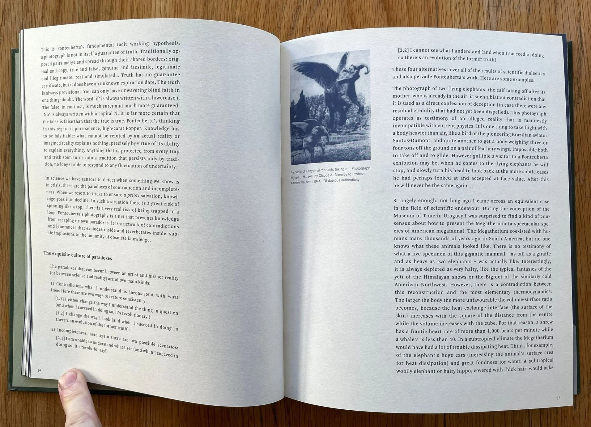 The Nature of Photography / The Photography of Nature - Image 4