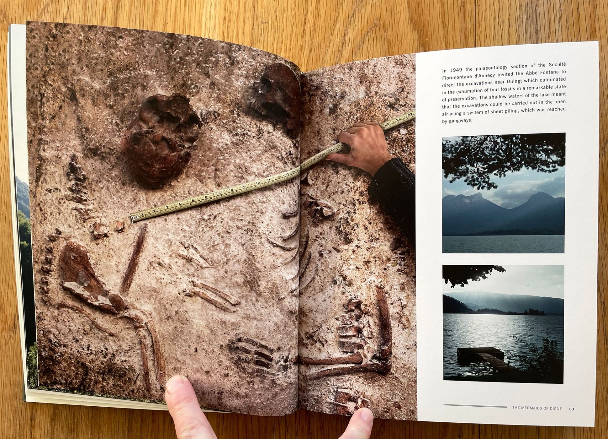 The Nature of Photography / The Photography of Nature - Image 5