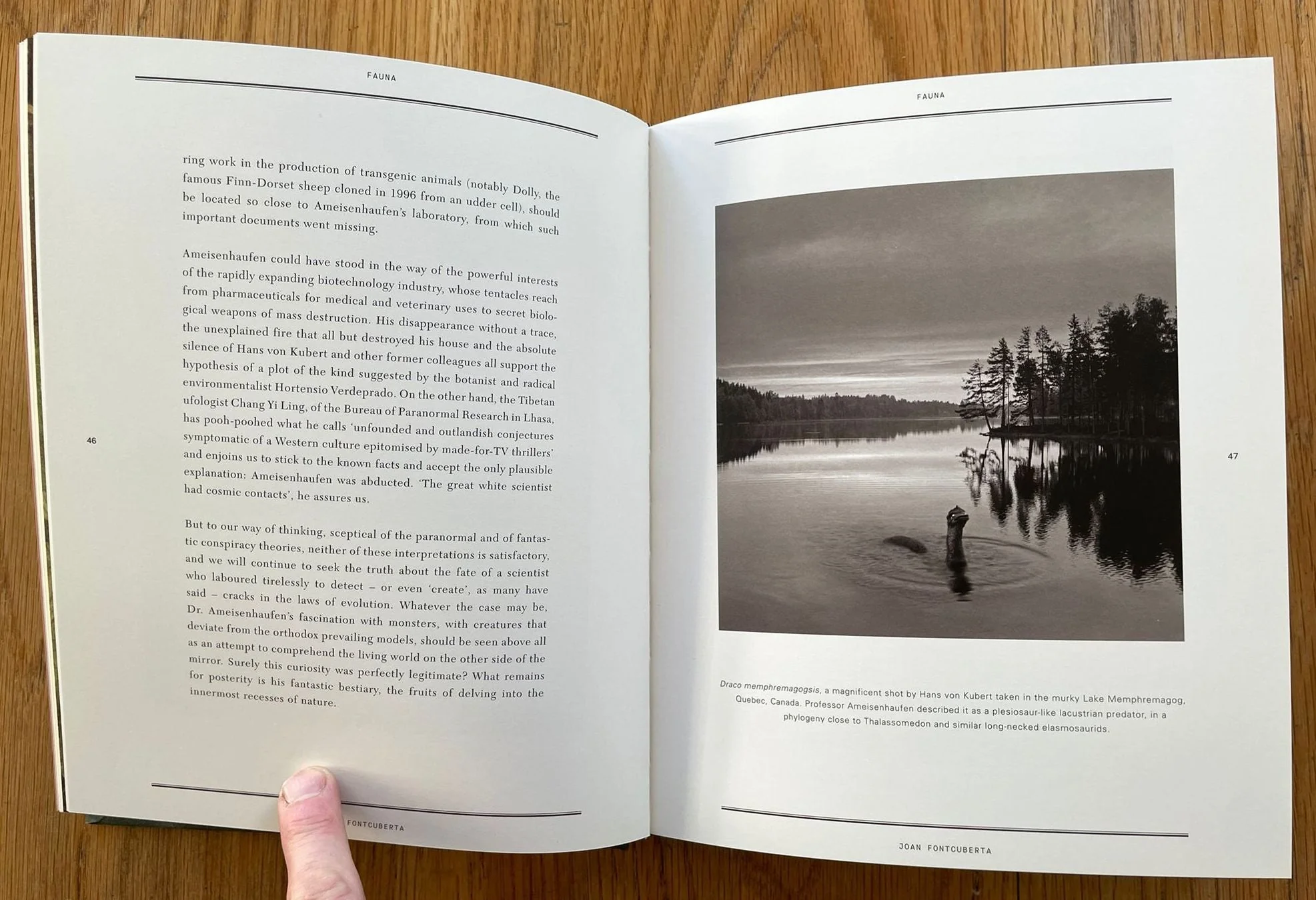 The Nature of Photography / The Photography of Nature - Image 6
