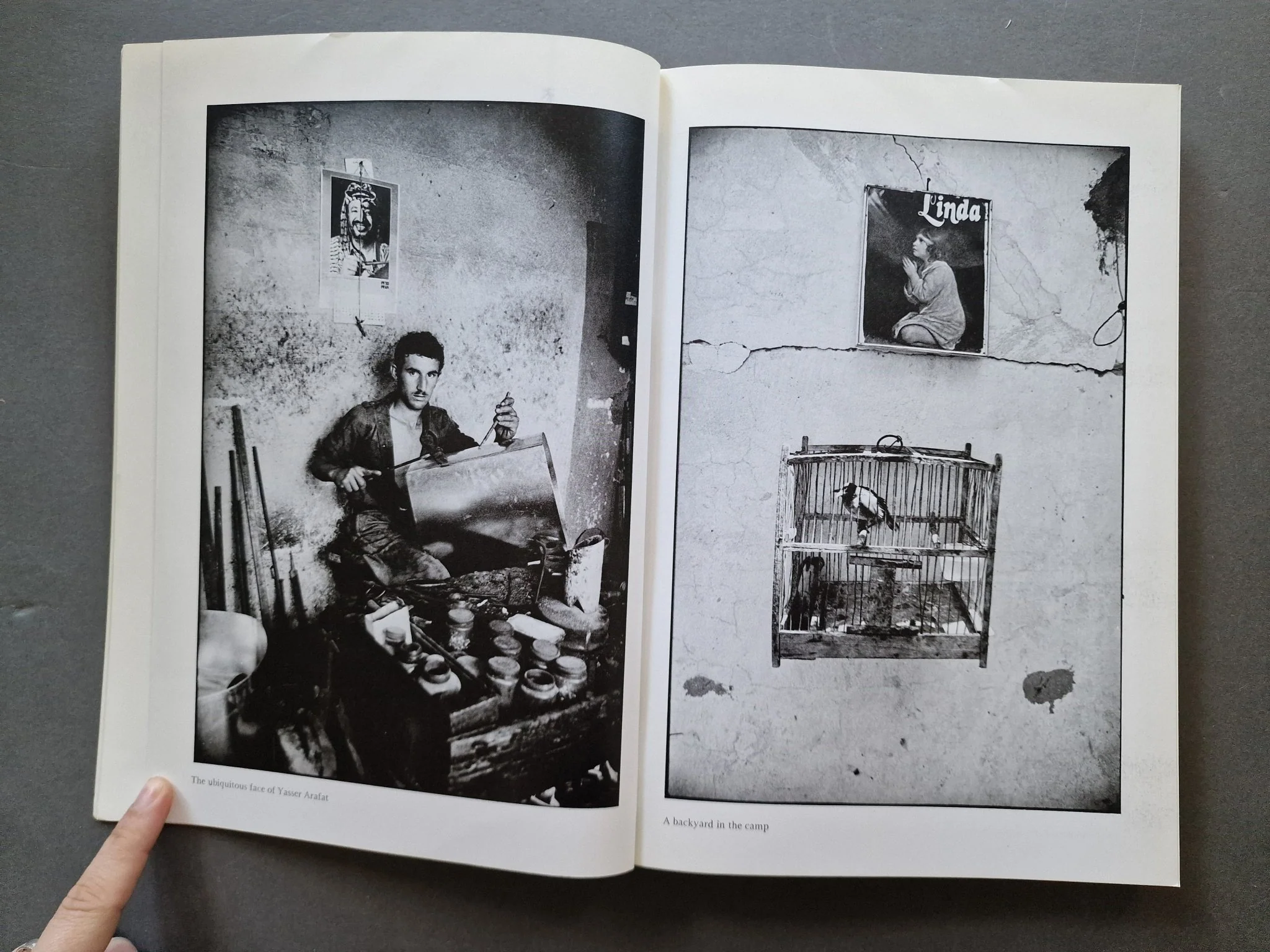 The Palestinians - Image 3