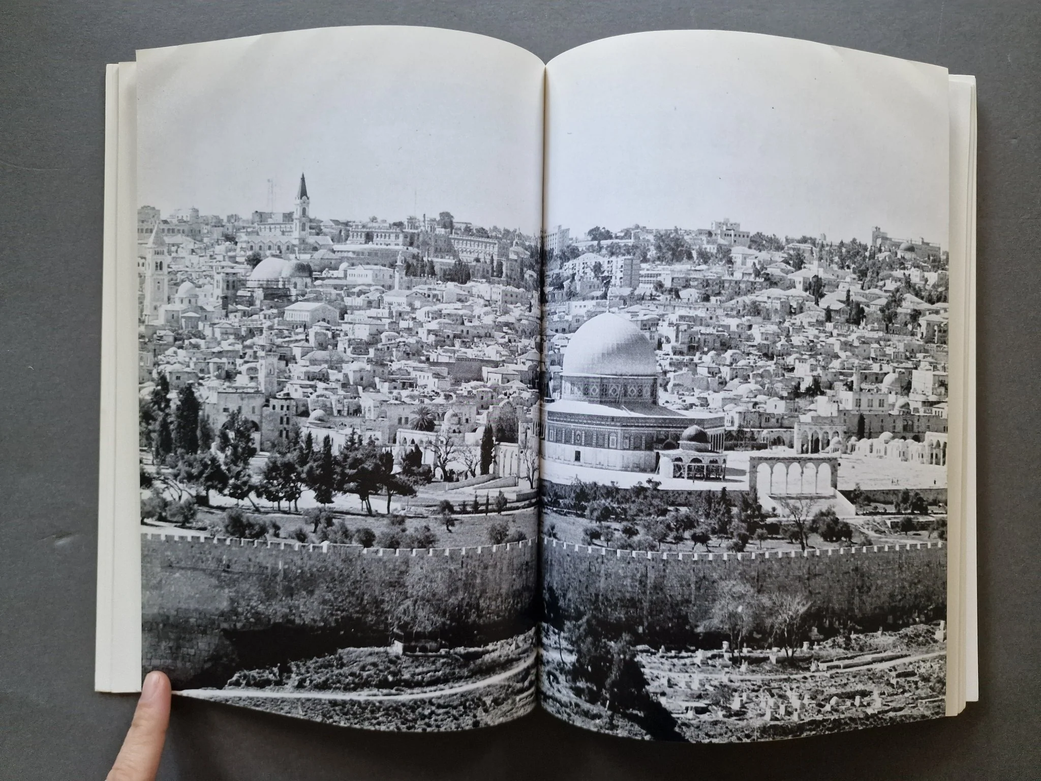 The Palestinians - Image 4